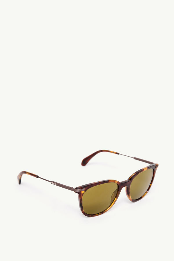 Korra Oval Sunglasses Gender Neutral Havana Moncler 3