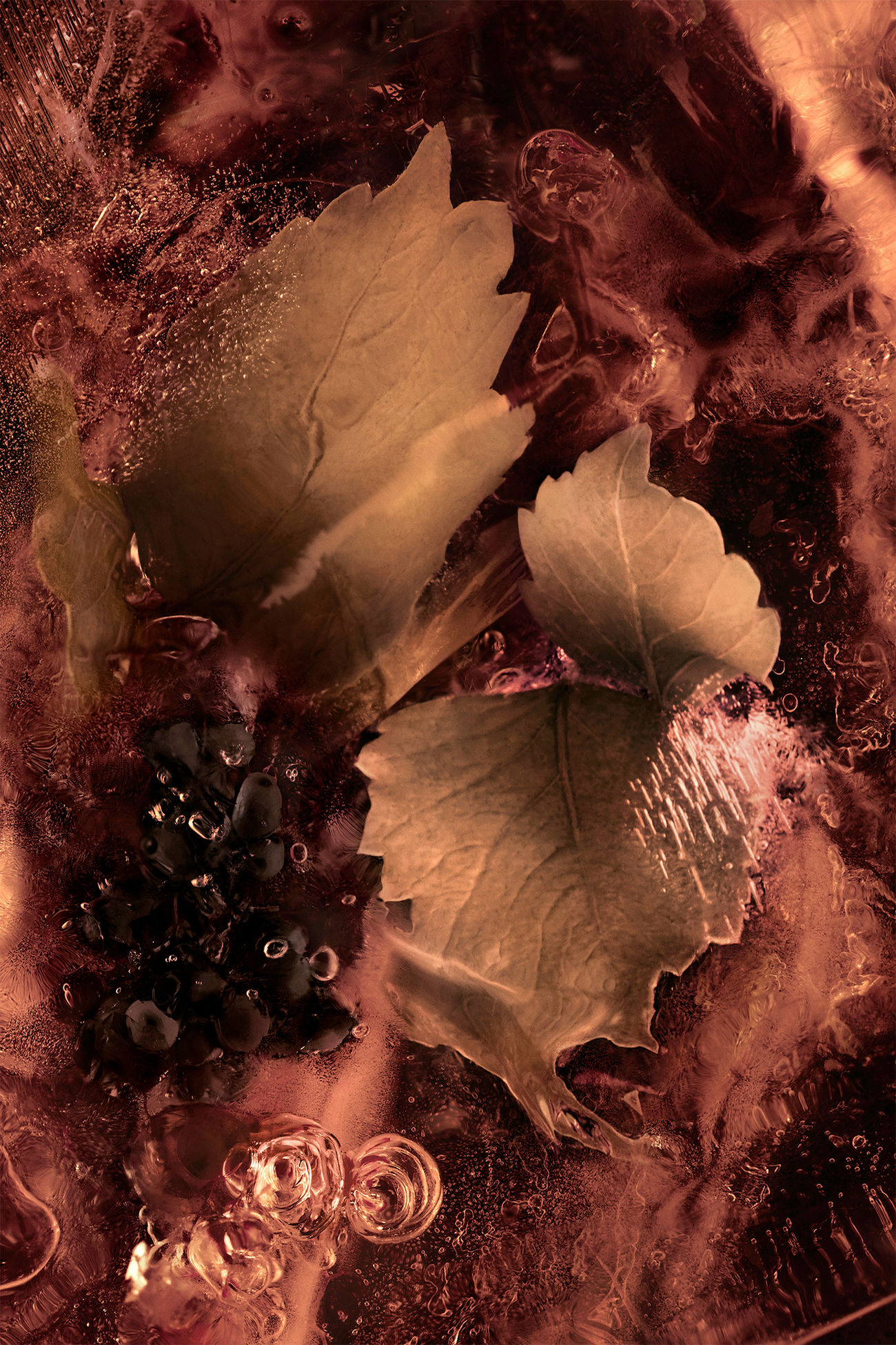 Les Roches Noires 100 ml Genderneutral Schwarz Moncler 1