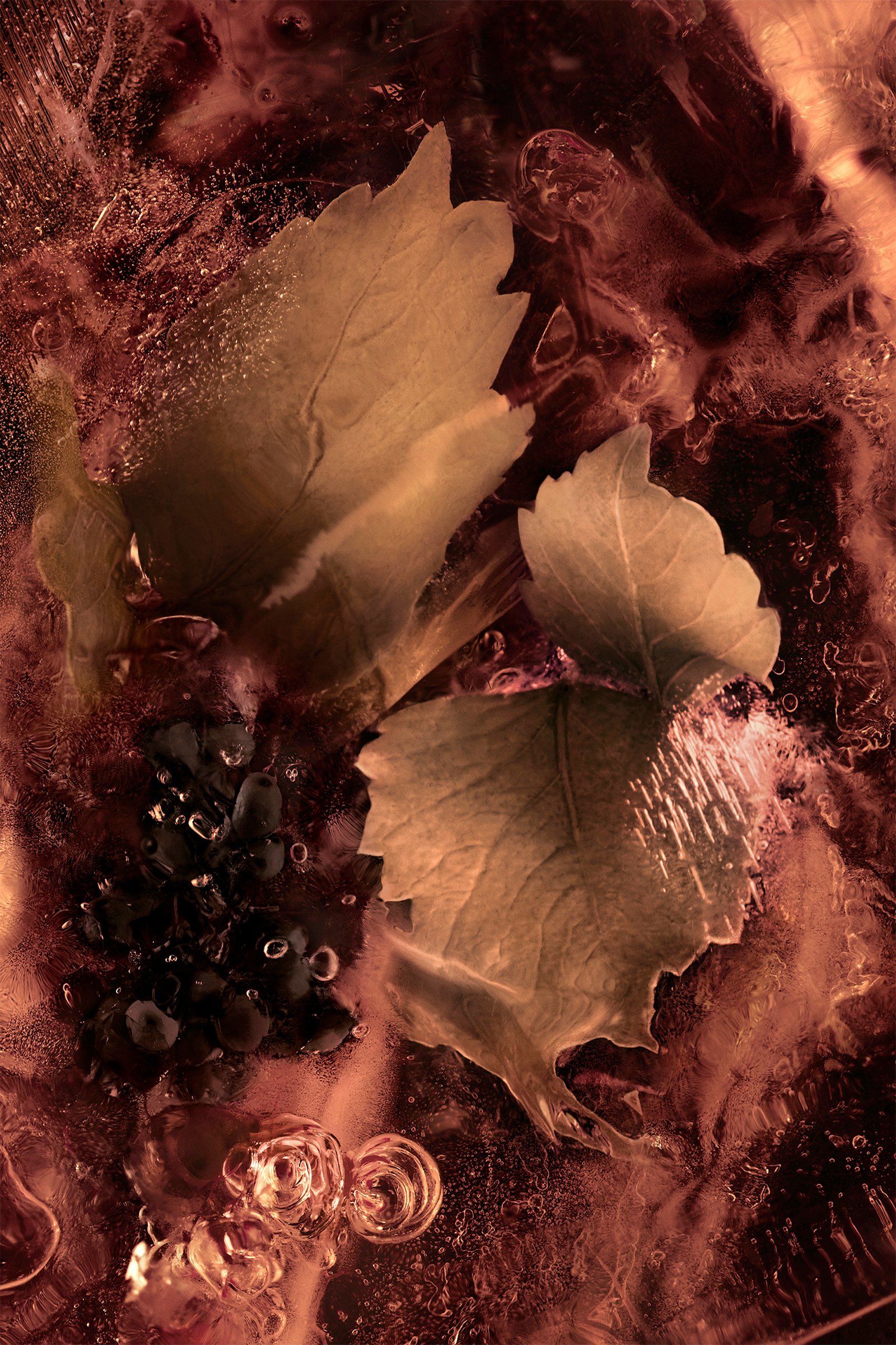 ブラック レ ロッシェ ノワール 200ml : 香水 向けの メンズ