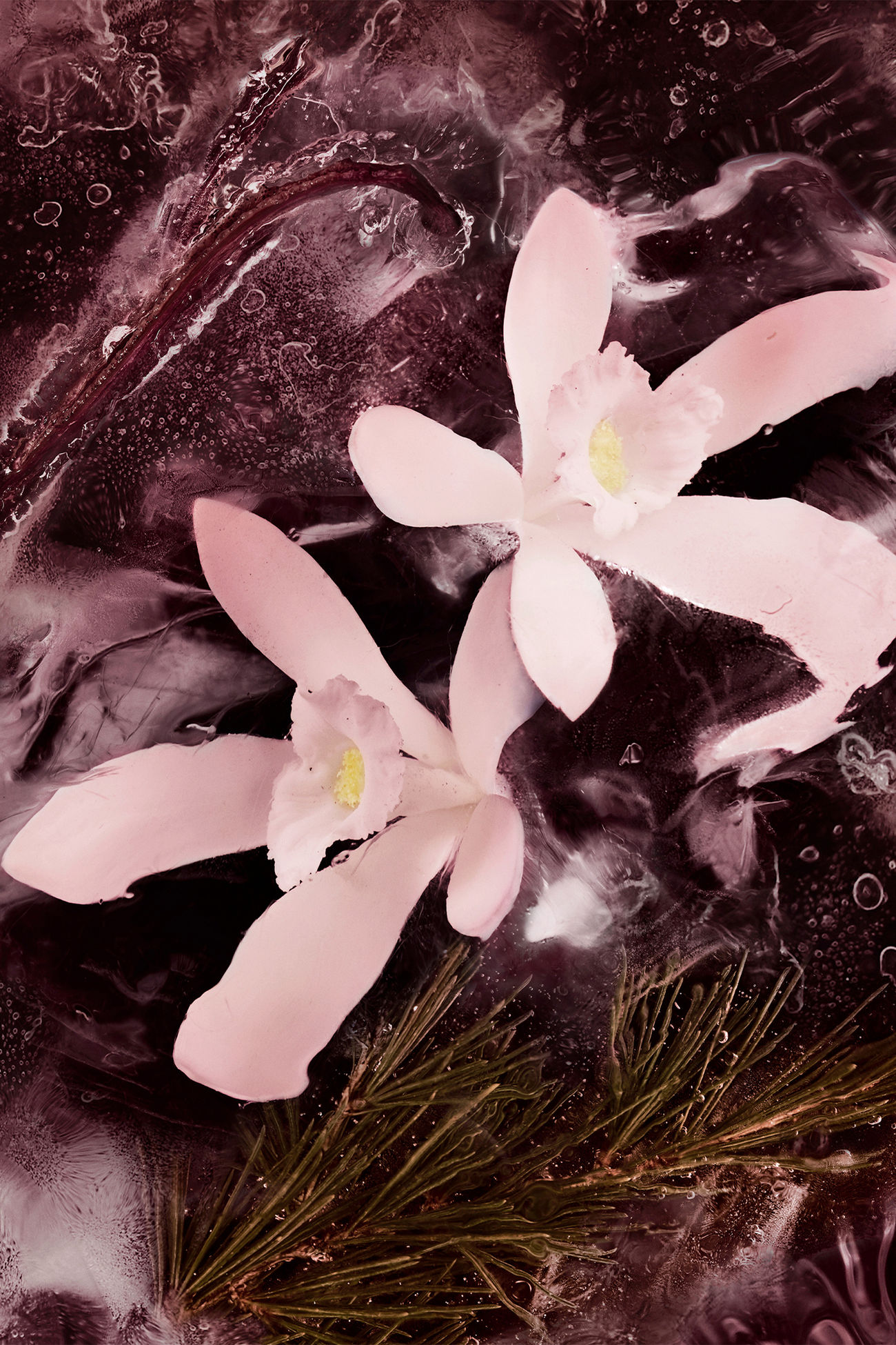 Haute Montagne 6.7 Fl.Oz. Gender Neutral Black Moncler 1