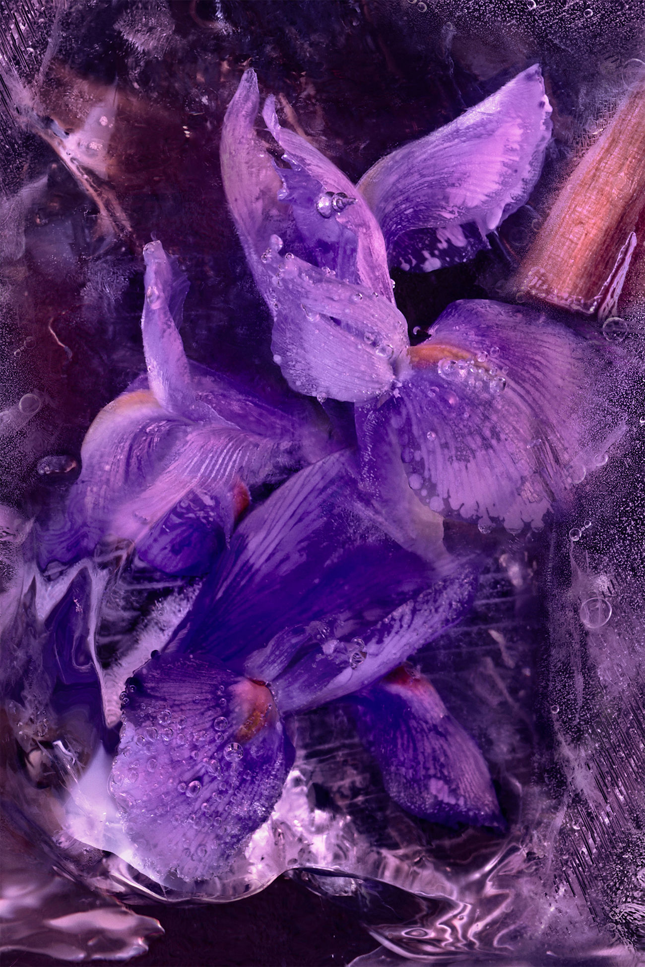 Le Solstice 200毫升 中性 黑色 Moncler 1