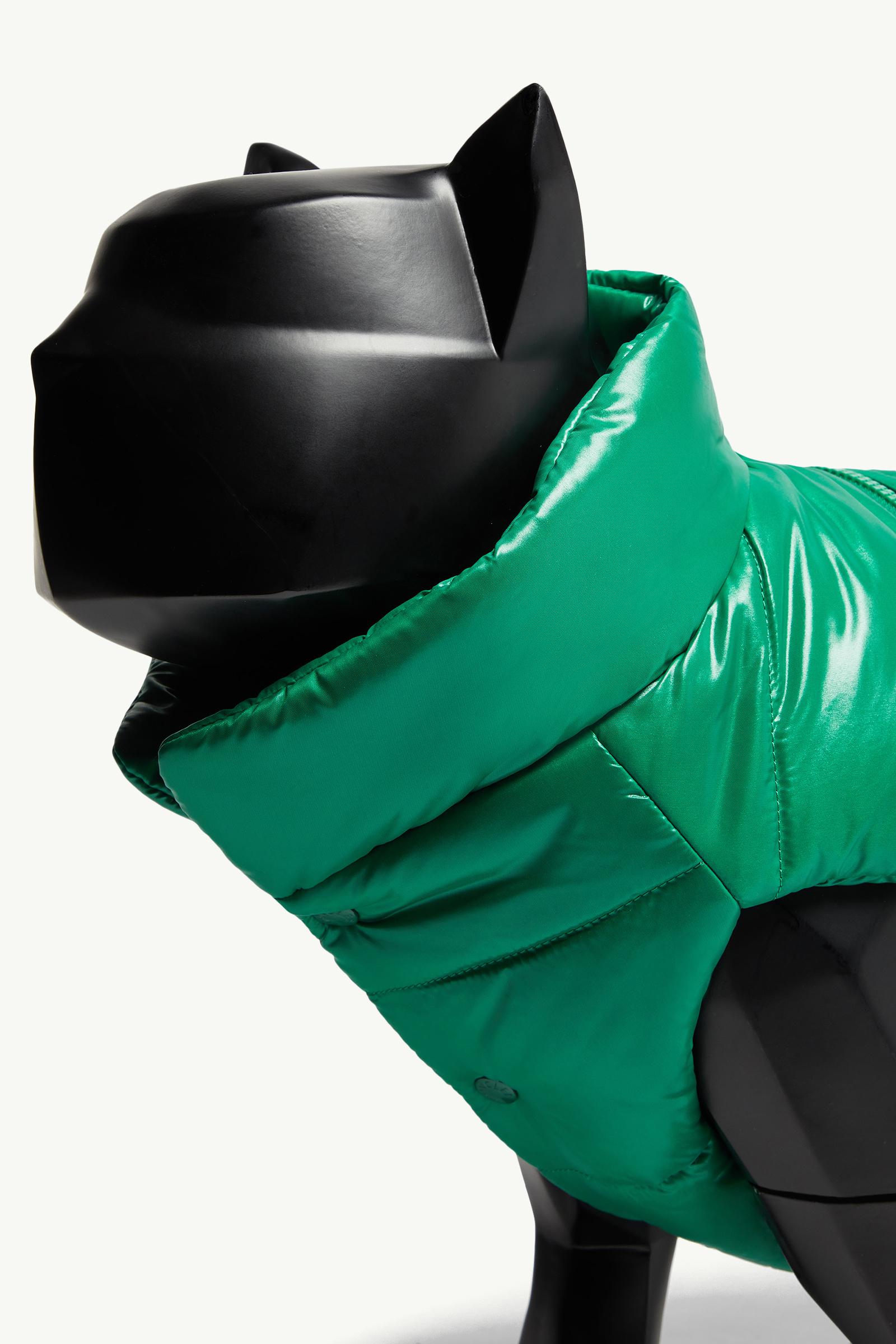 Gilet imbottito per cani Gender Neutral Verde Smeraldo Moncler 1