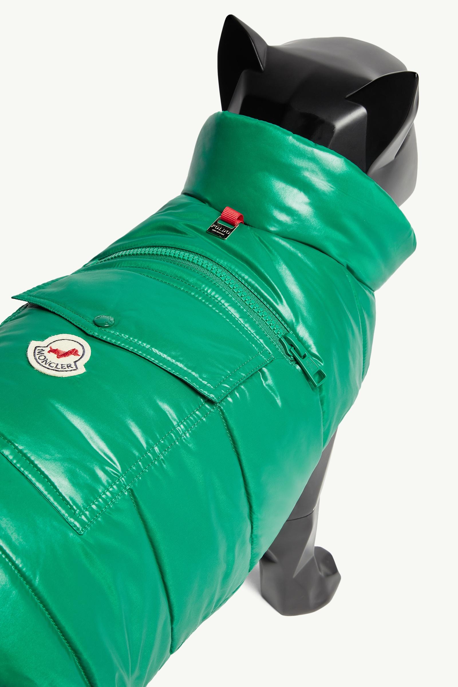 エメラルドグリーン ドッグベスト : Moncler Poldo Dog Couture 向けの