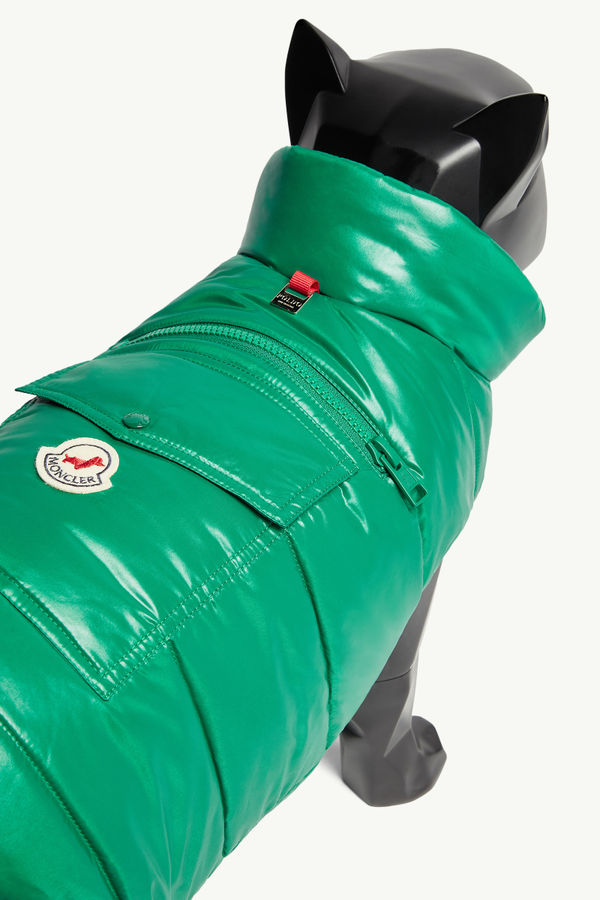 Padded Dog Gilet Gender Neutral Emerald Green Moncler 3