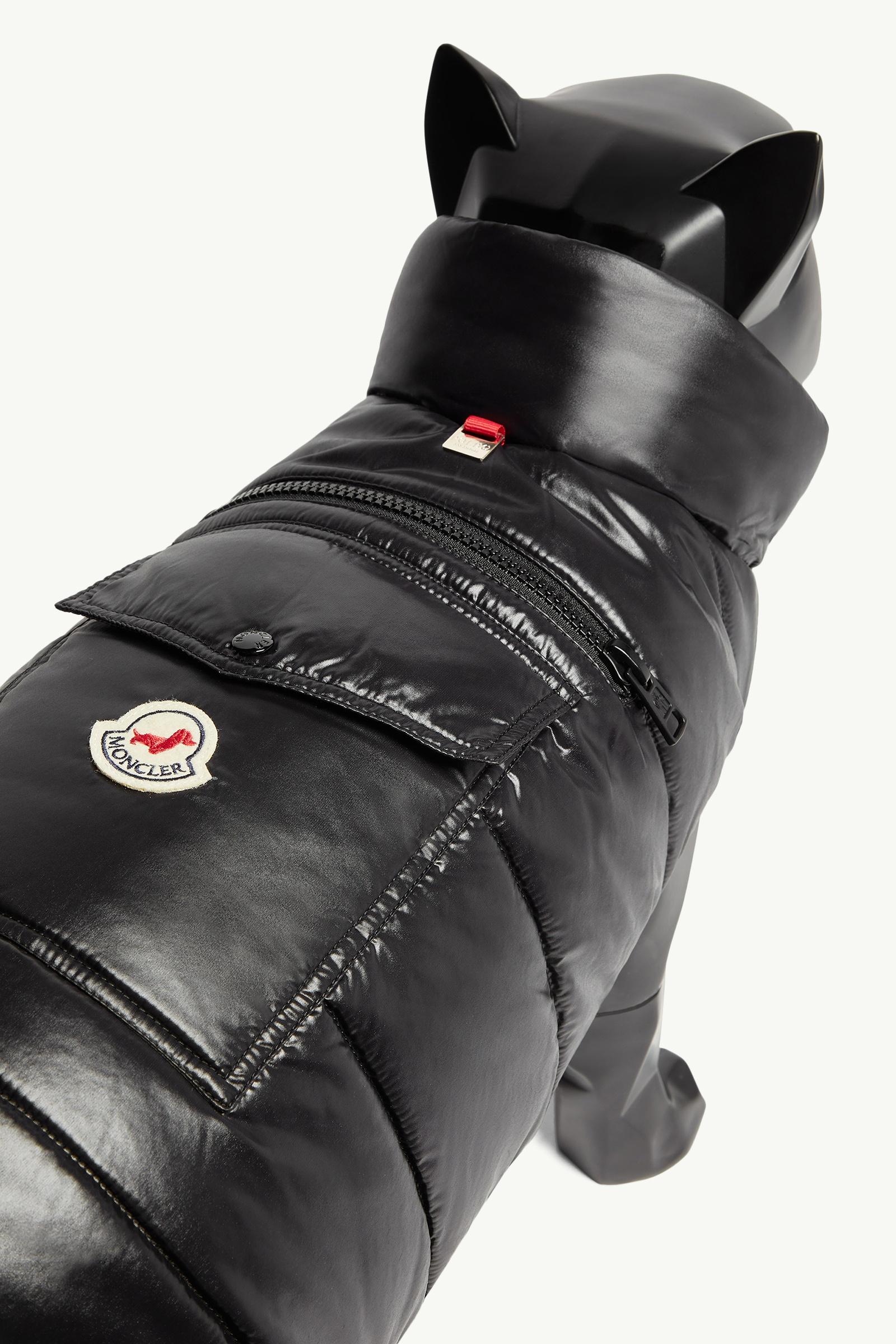 Black Padded Dog Gilet - Moncler Poldo Dog Couture for Black Padded Dog Gilet - Moncler Poldo Dog Couture for