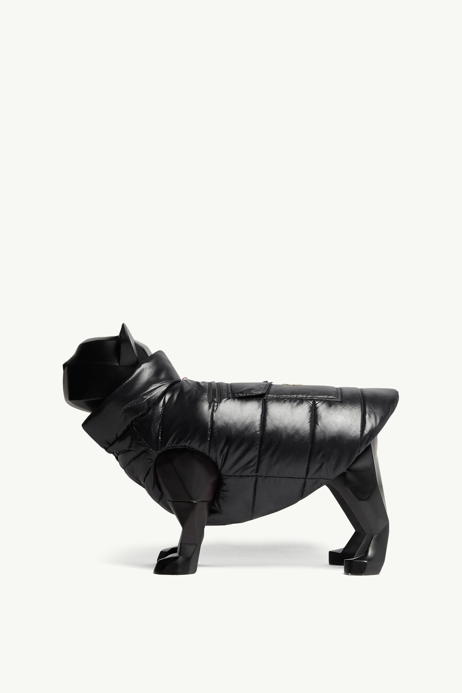 Padded Dog Gilet_findInBoutique_image
