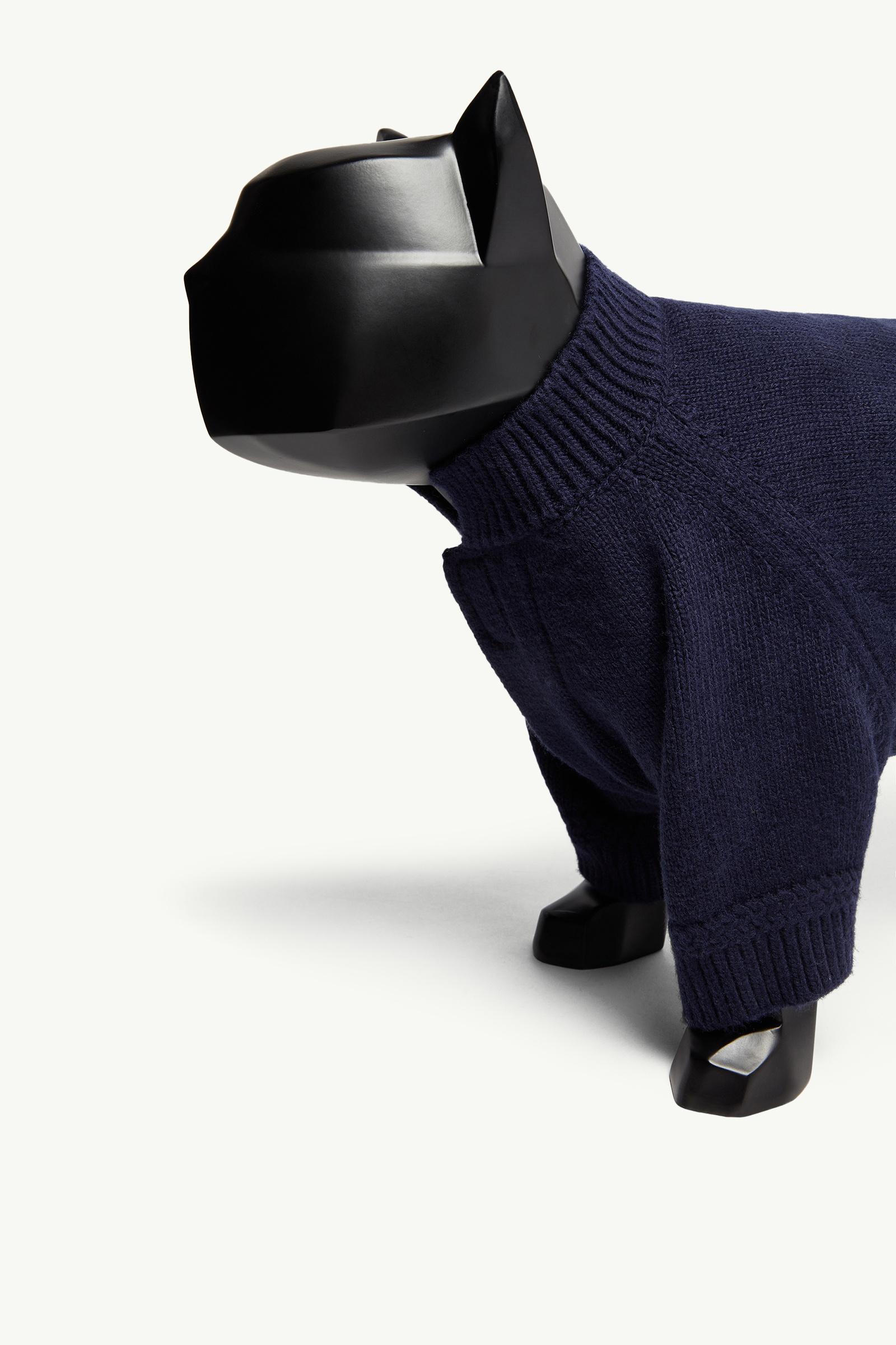 Hundepullover aus Wolle Genderneutral Dunkelblau Moncler 1