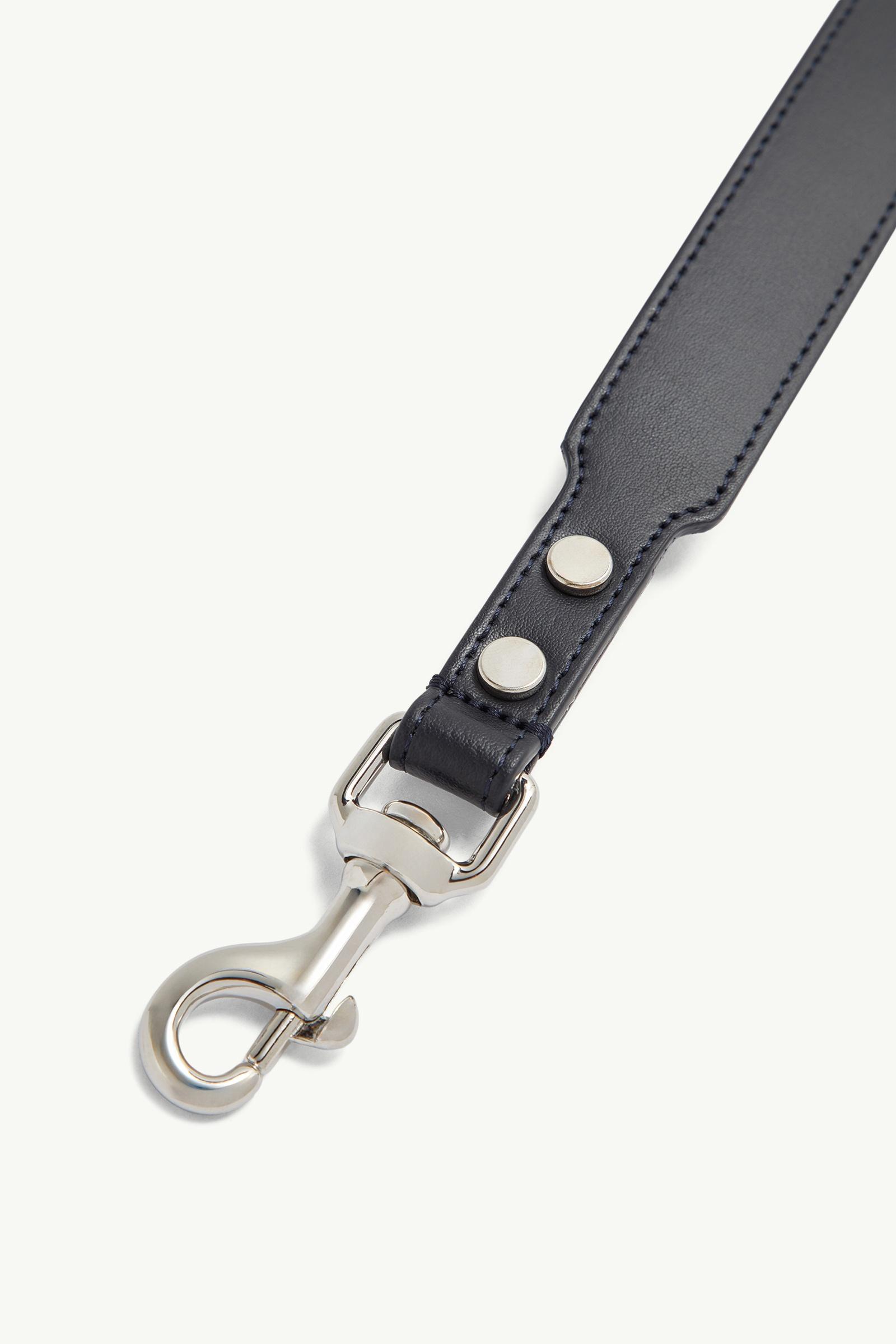 Dark Blue Logo Dog Leash - Moncler Poldo Dog Couture for Special