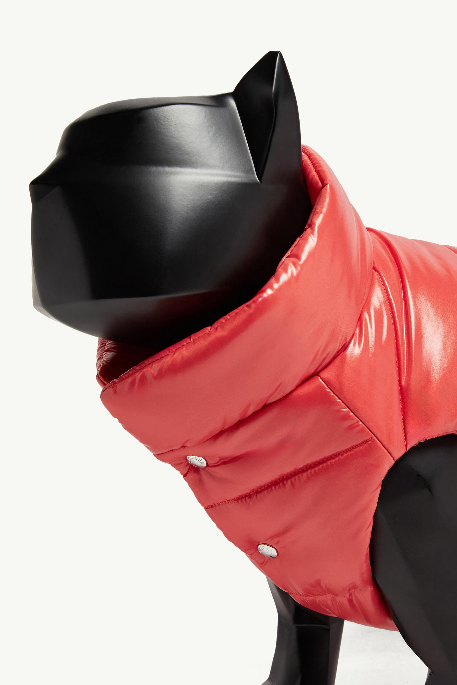 Padded Dog Gilet Gender Neutral Red Moncler 1