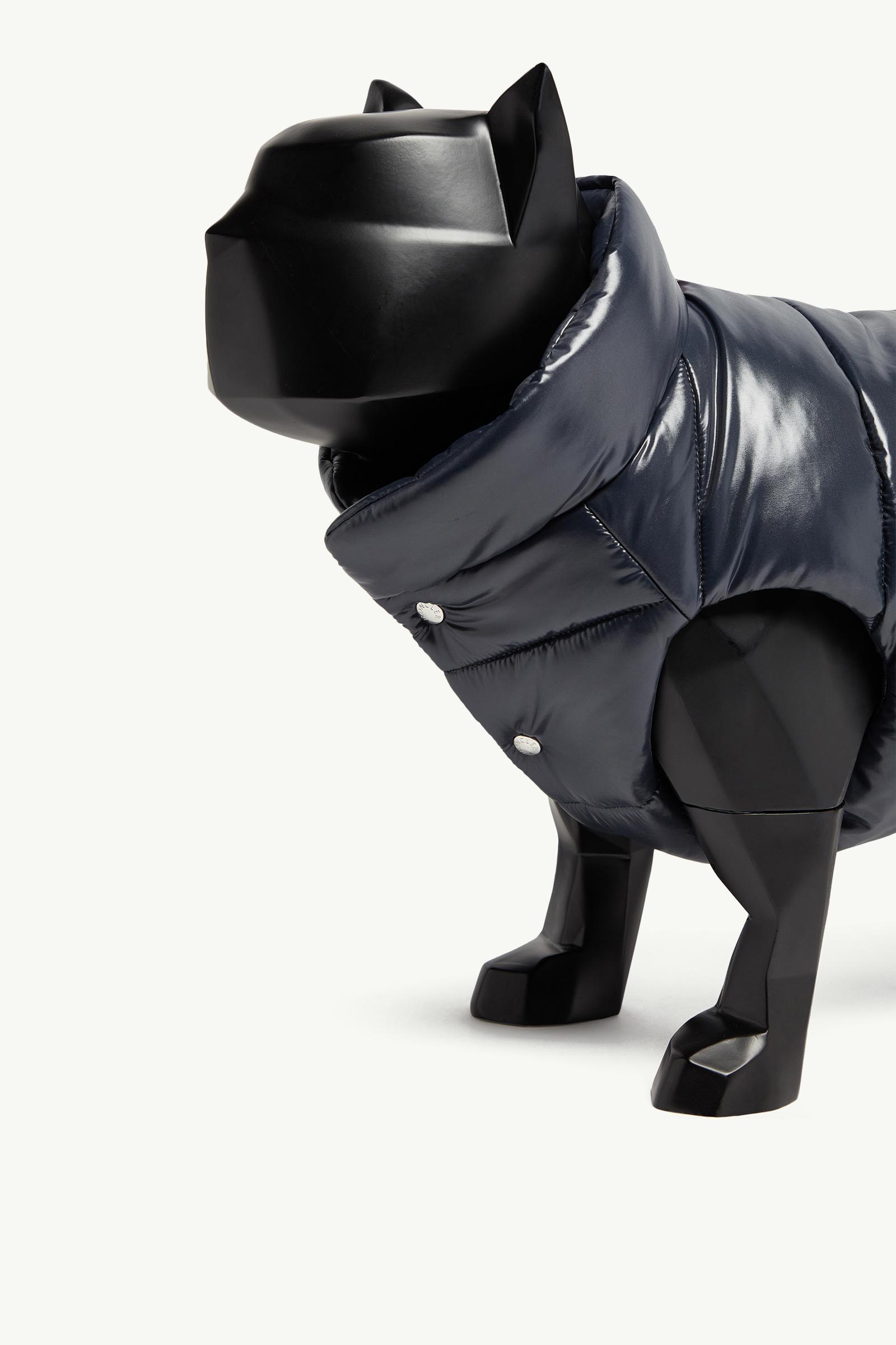Padded Dog Gilet Gender Neutral Royal Blue Moncler 1
