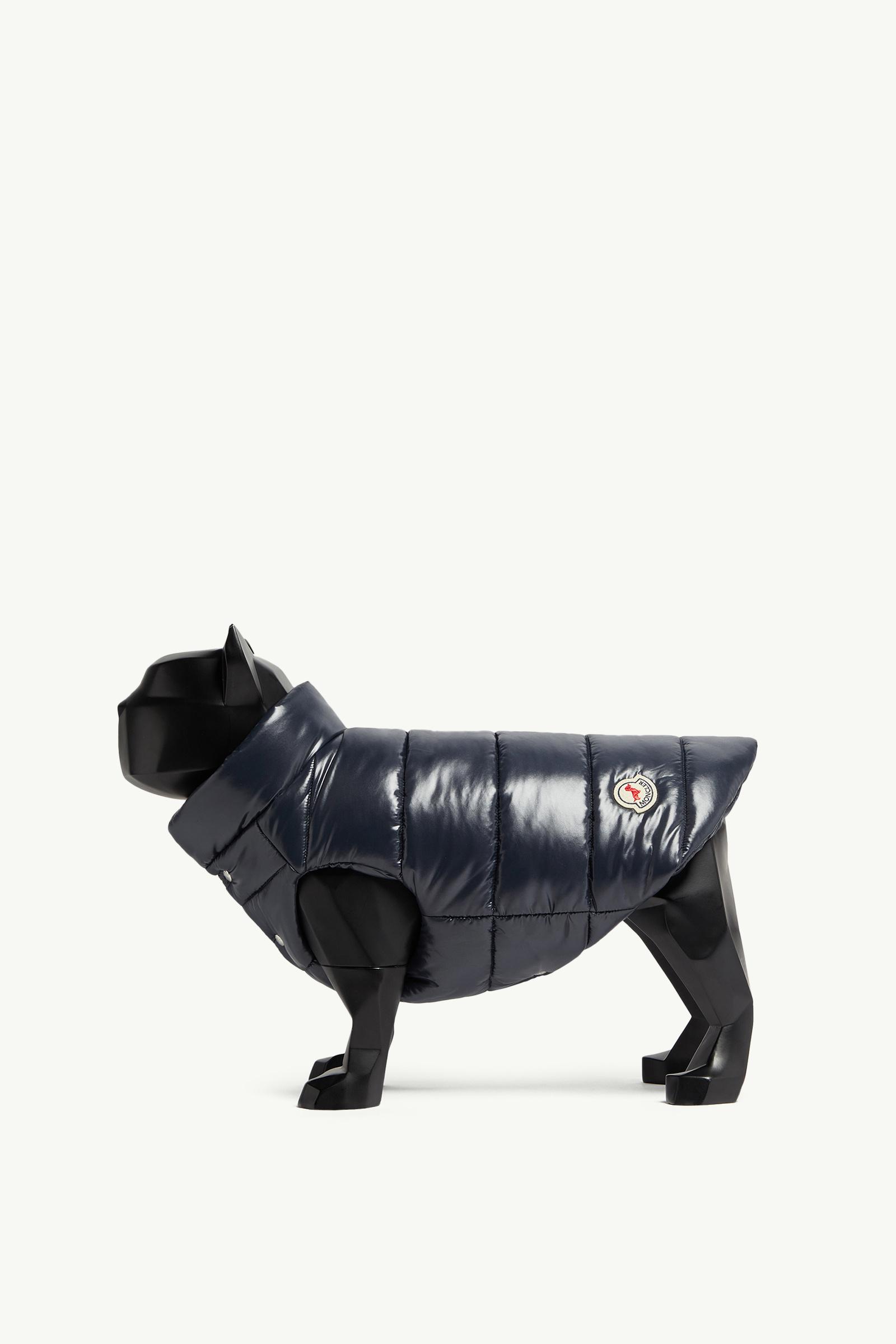 Royal Blue Padded Dog Vest - Moncler Poldo Dog Couture for Special