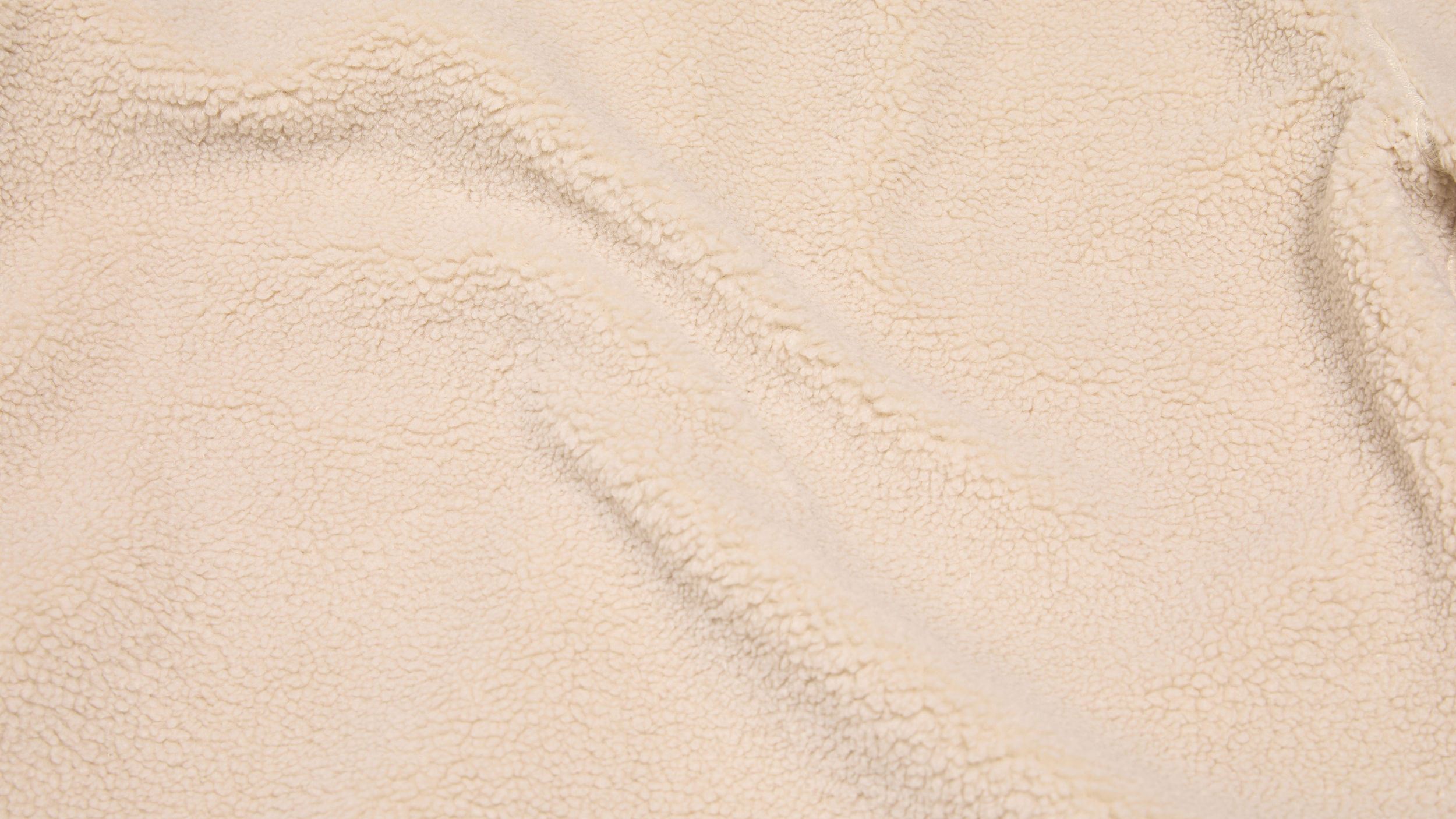 Slide 1 - Plush Teddy Fleece