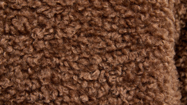 Slide 1 - Plush Teddy Fleece