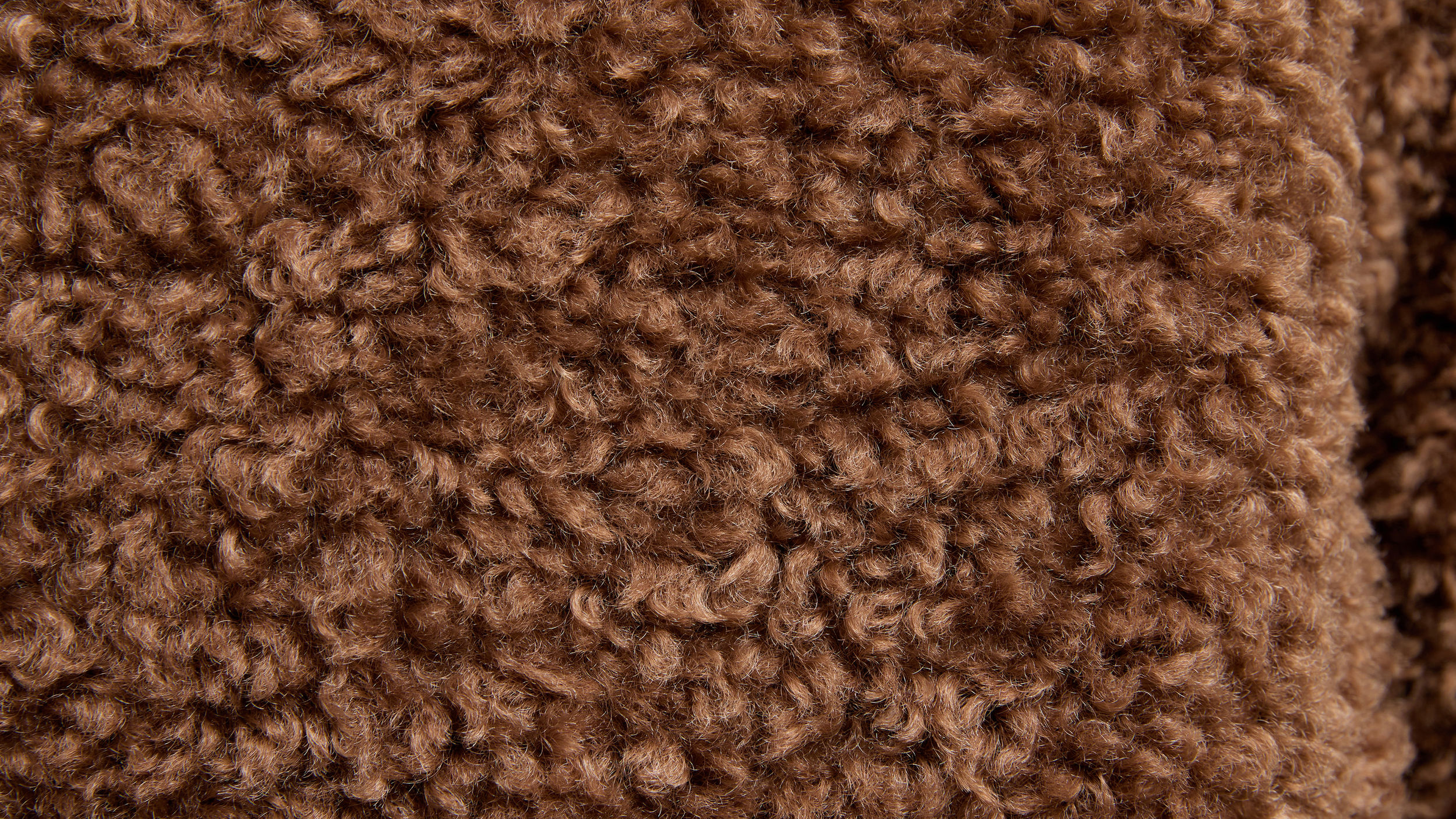 Slide 1 - 毛絨泰迪抓毛