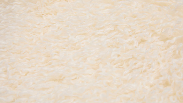 Slide 2 - A Tactile Twist
