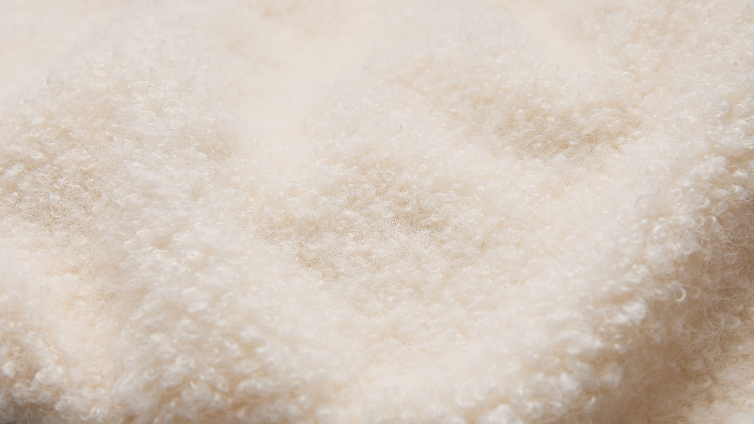 Slide 2 - Plush Teddy Fleece