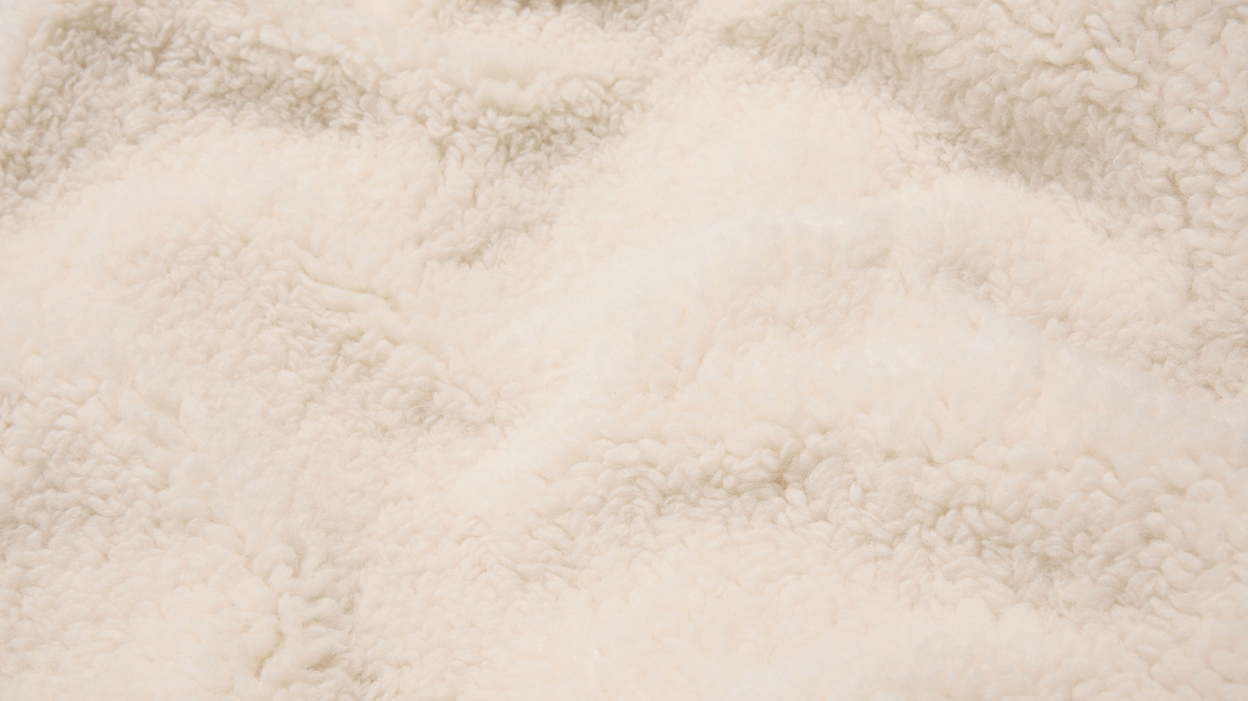 Slide 2 - Plush Teddy Fleece