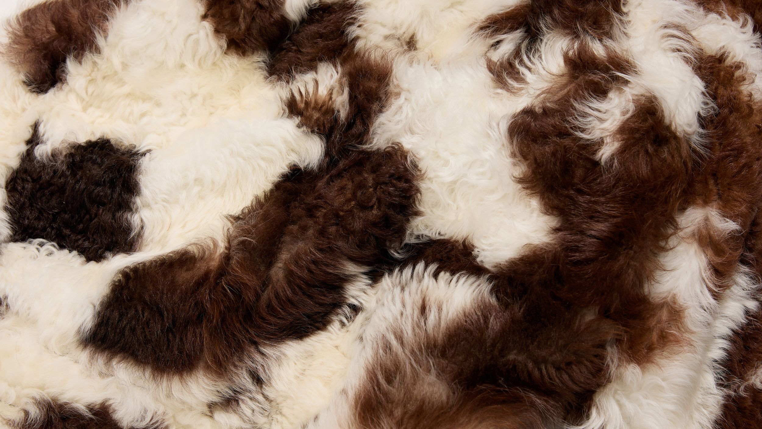 Slide 1 - Shearling Raffinato