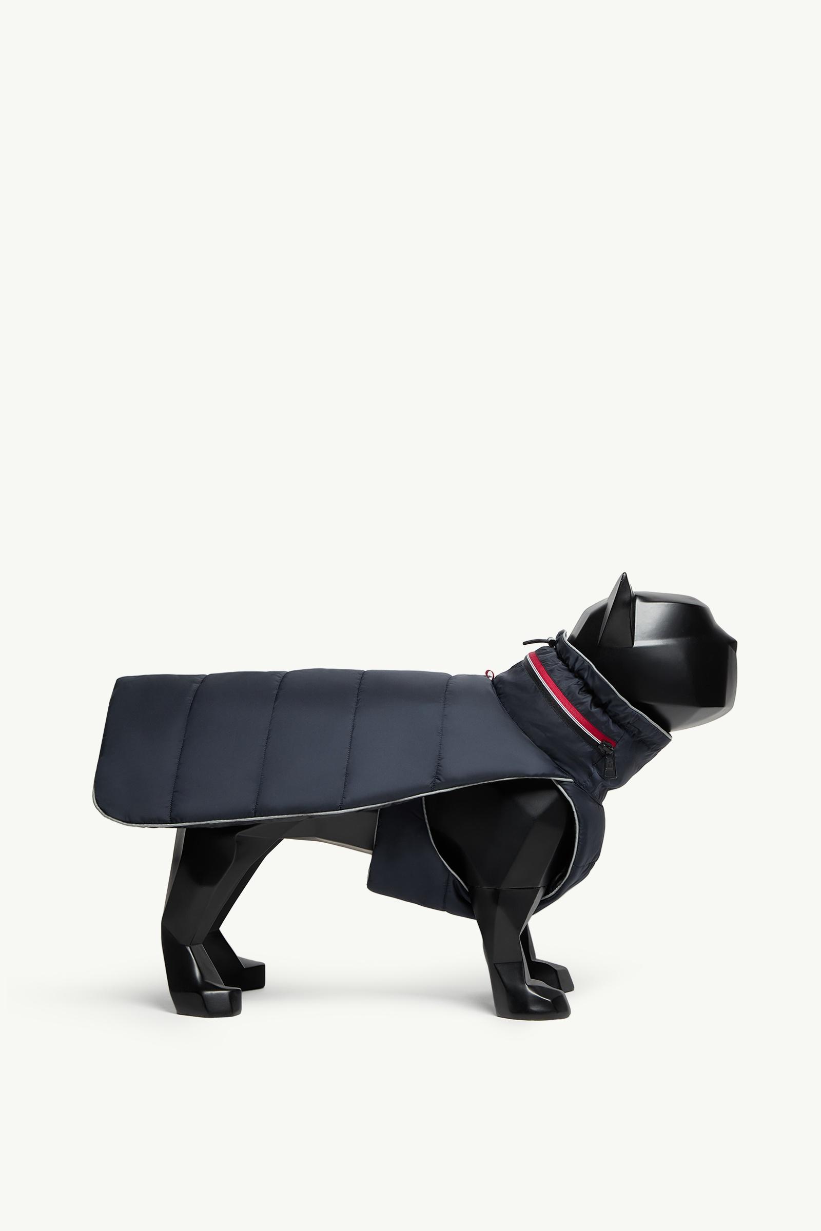 For Special Projects | Moncler US