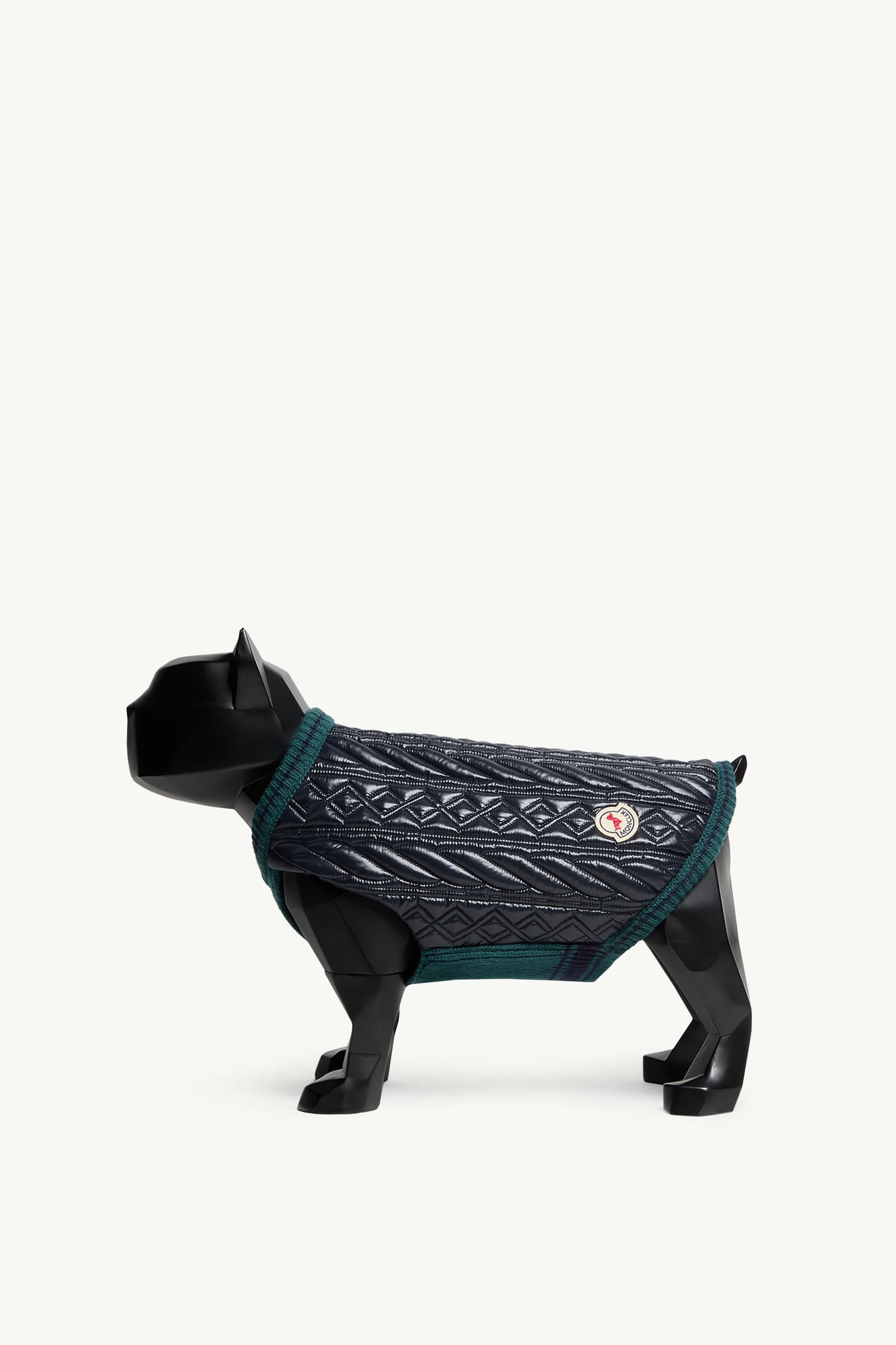 Wool-Trimmed Dog gilet_findInBoutique_image