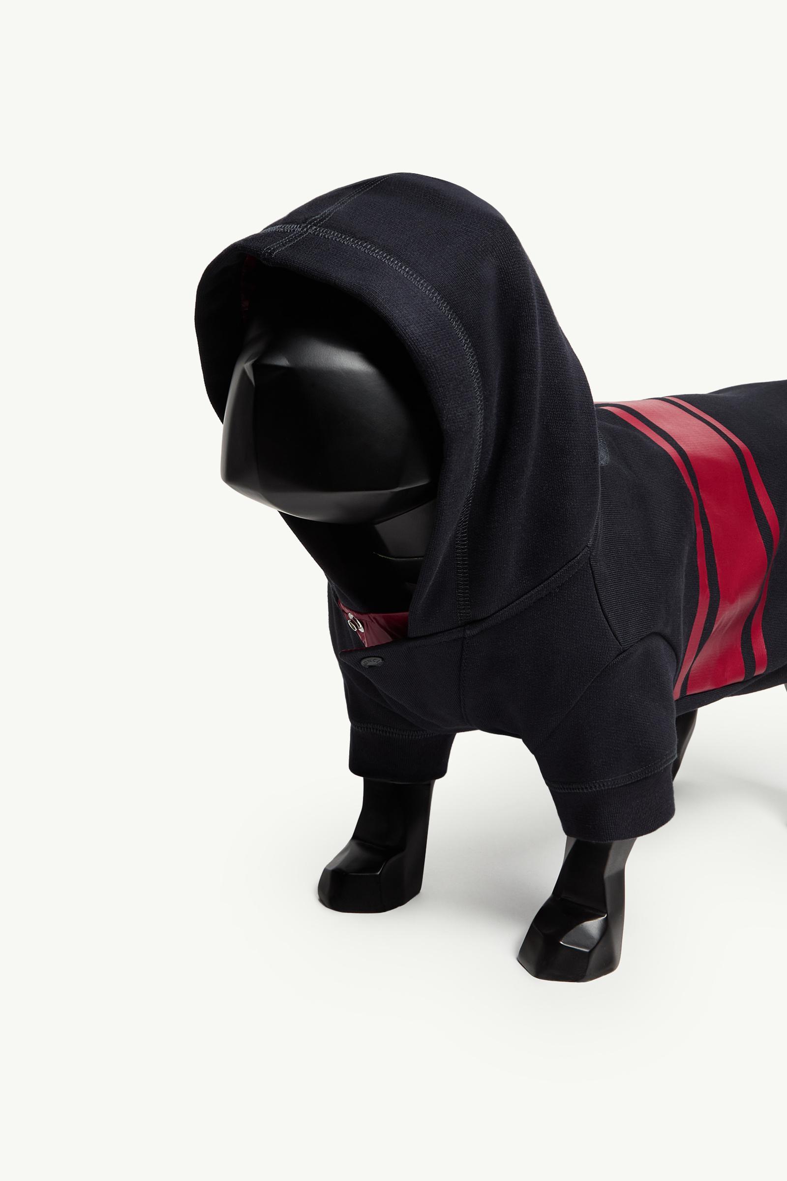 Cotton Dog Hoodie Gender Neutral Blue & Red Moncler 1