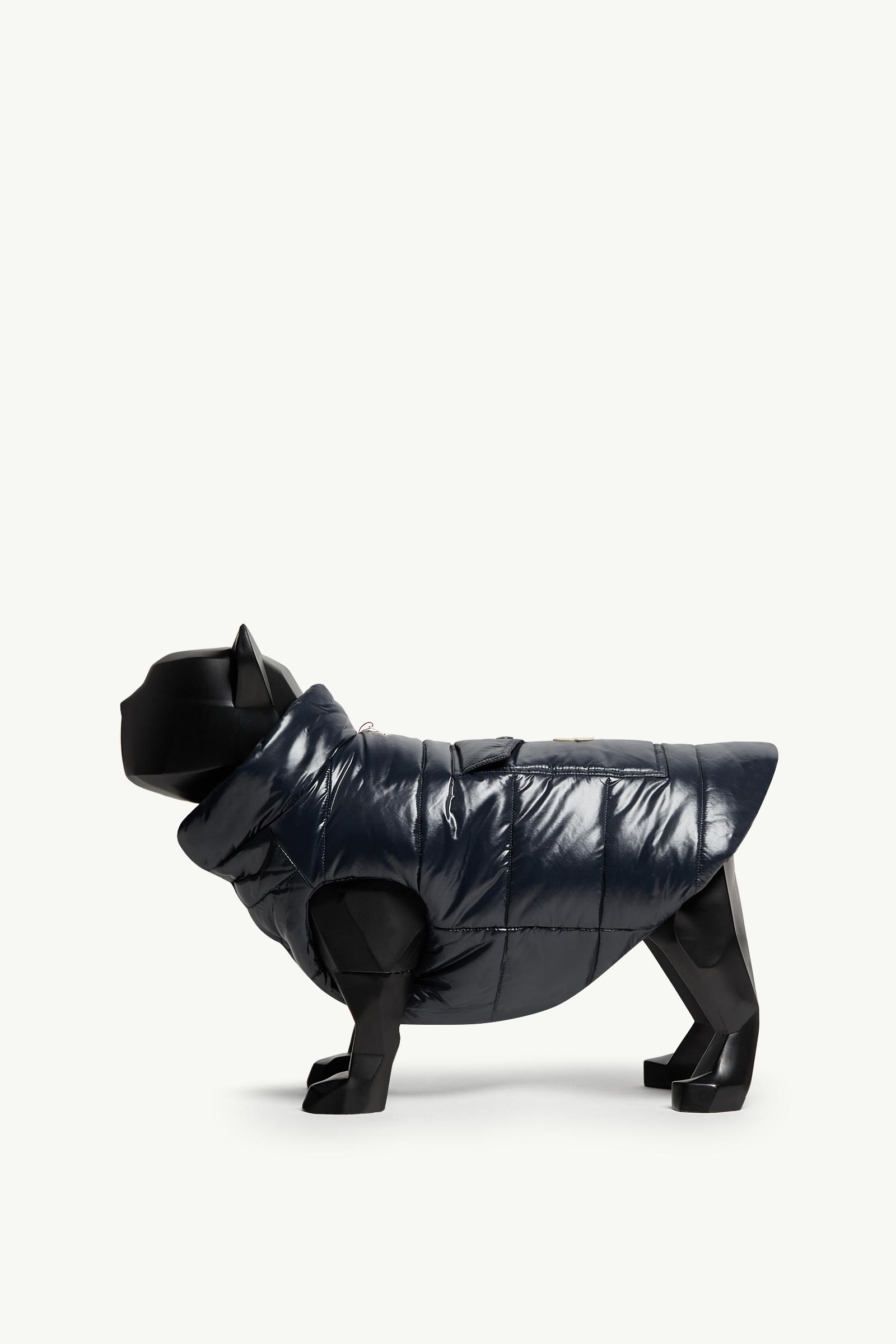 Chaleco para perro acolchado_findInBoutique_image
