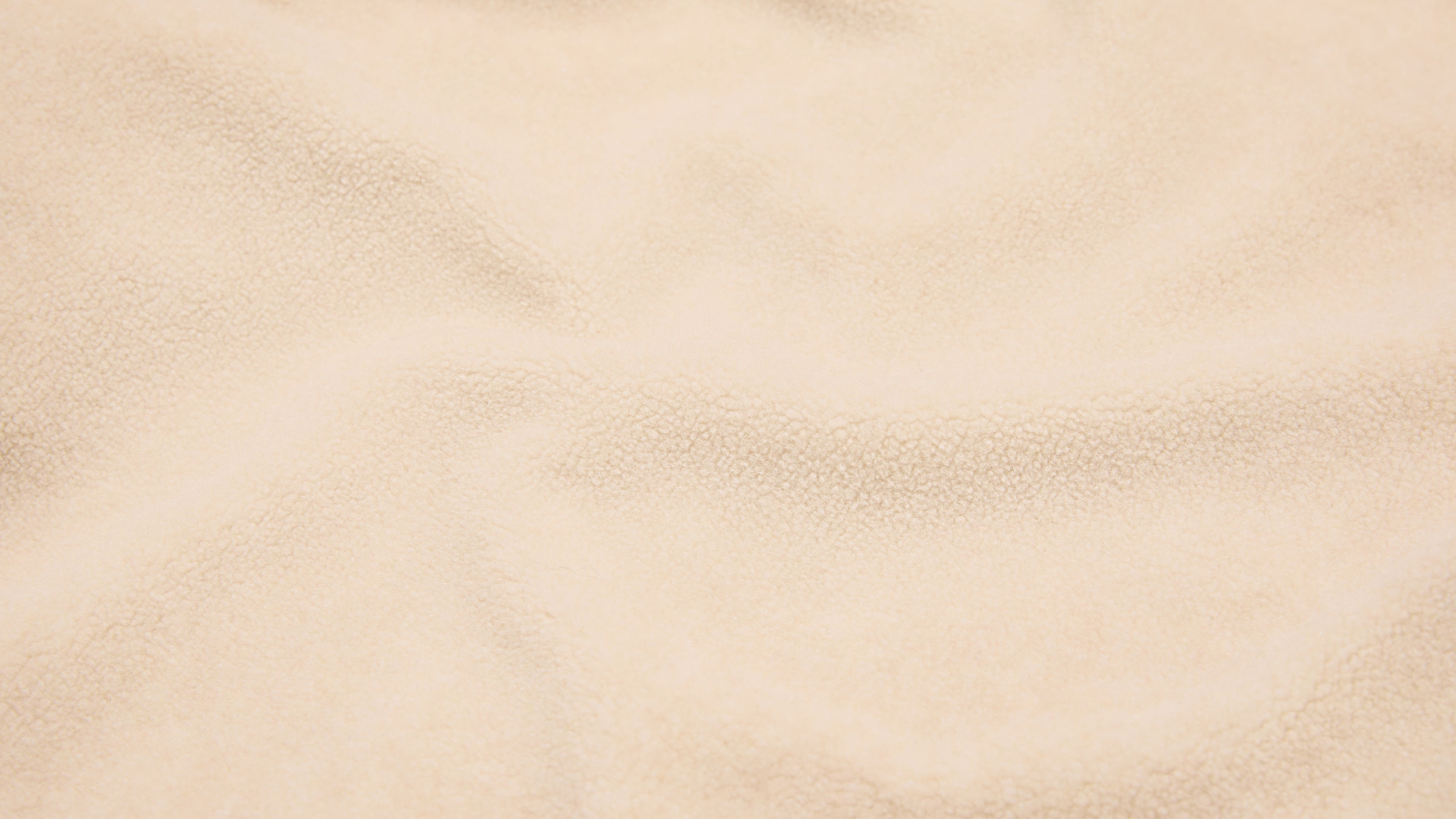 Slide 1 - Plush Teddy Fleece