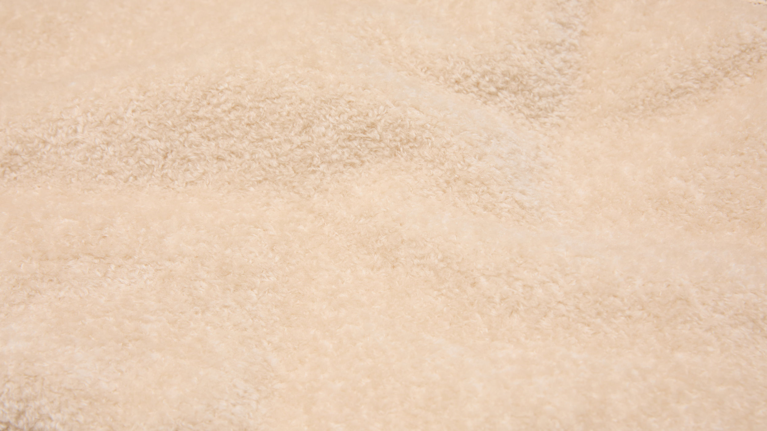 Slide 1 - Plush Teddy Fleece