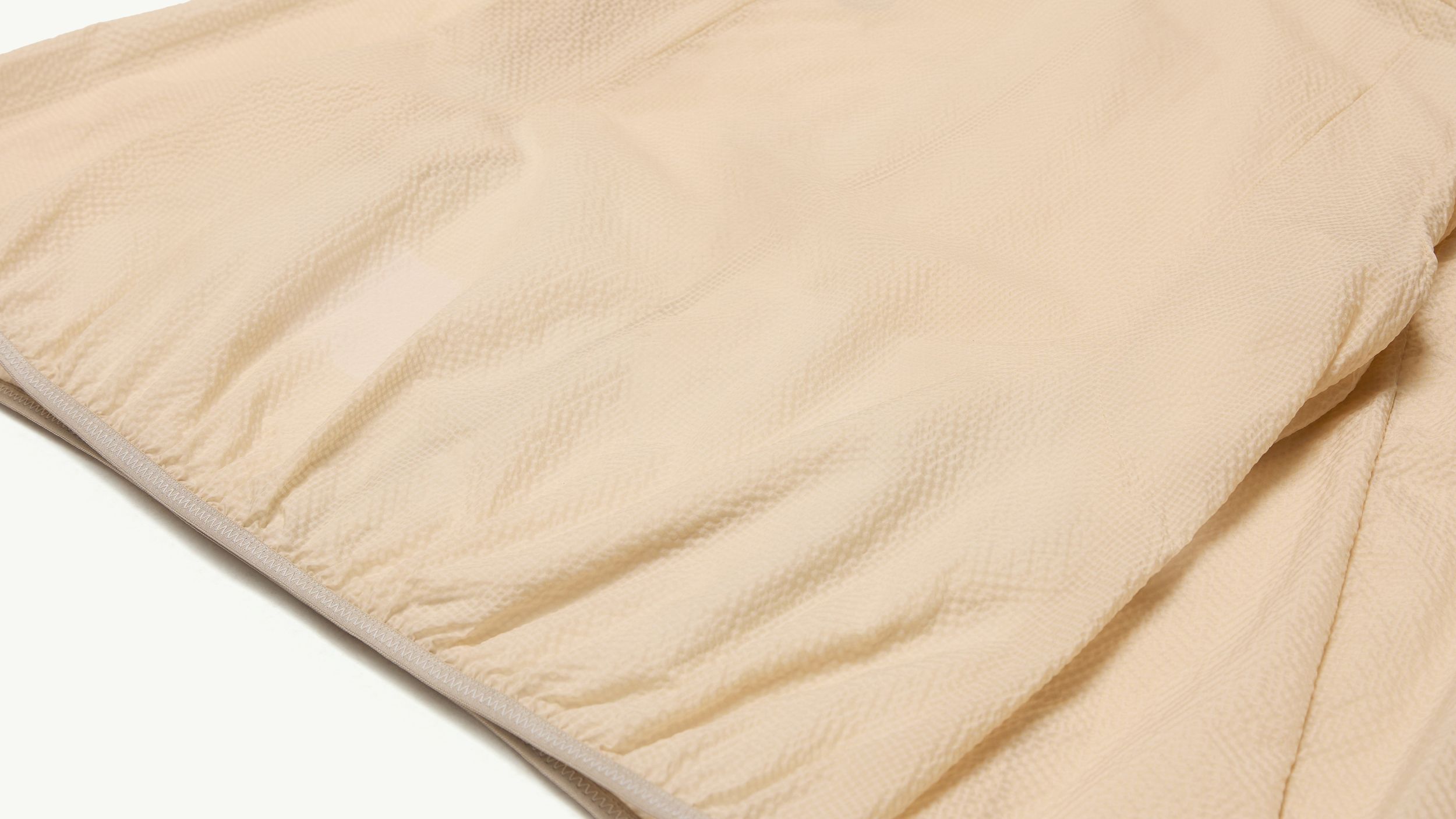 Slide 1 - Ricerca su seersucker