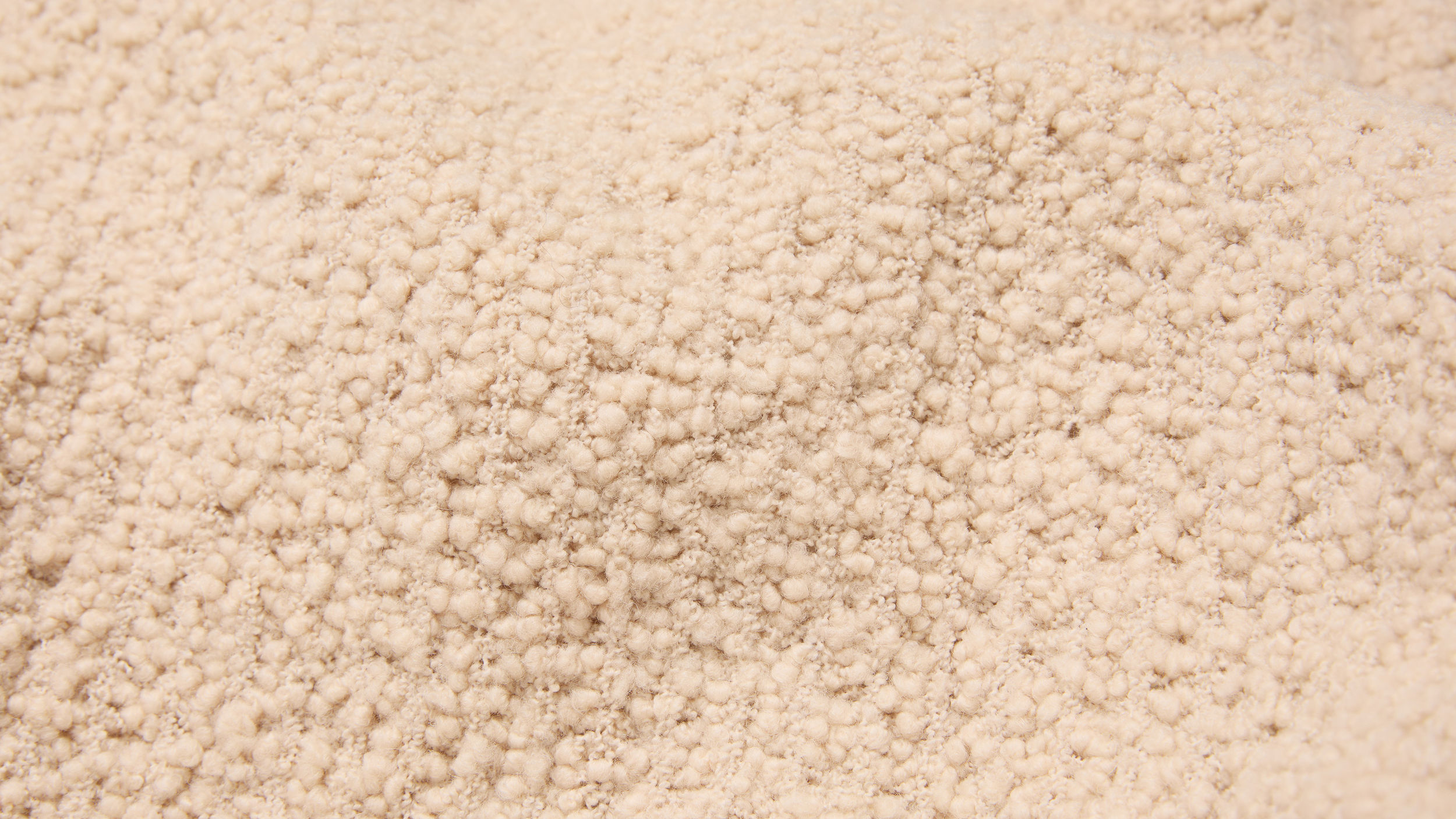 Slide 1 - Plush Teddy Fleece