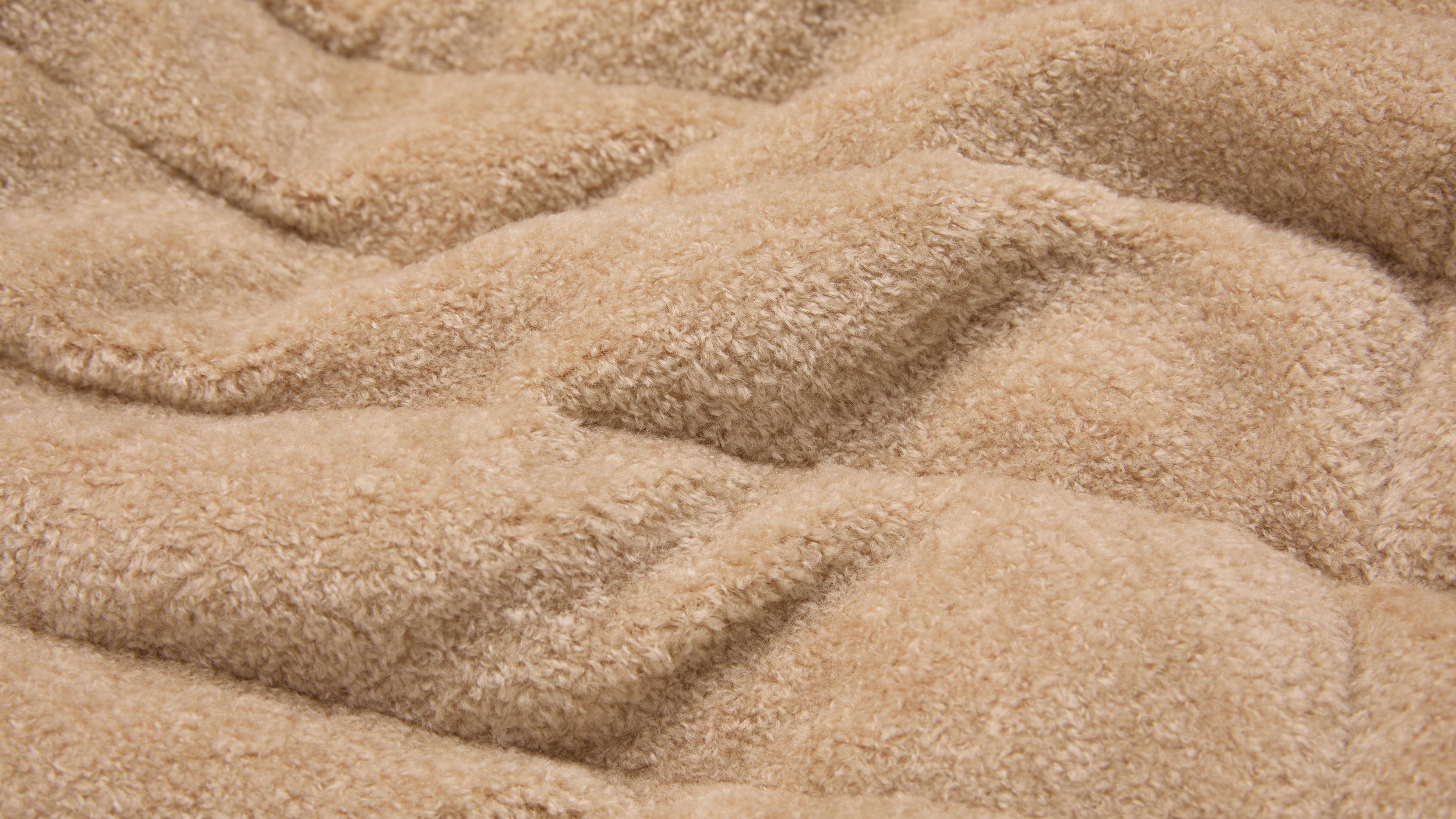 Slide 1 - Plush Teddy Fleece