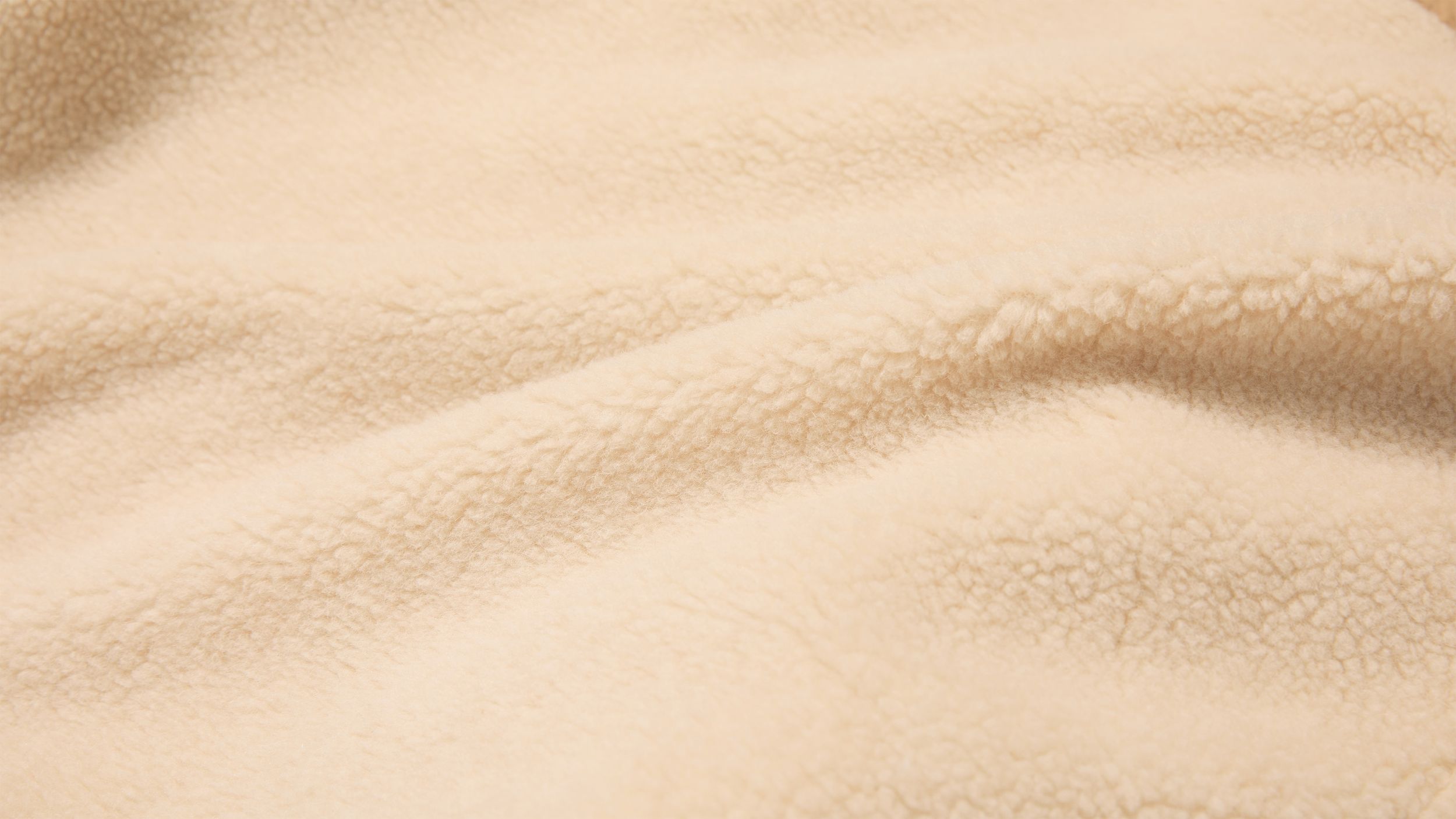 Slide 1 - Plush Teddy Fleece