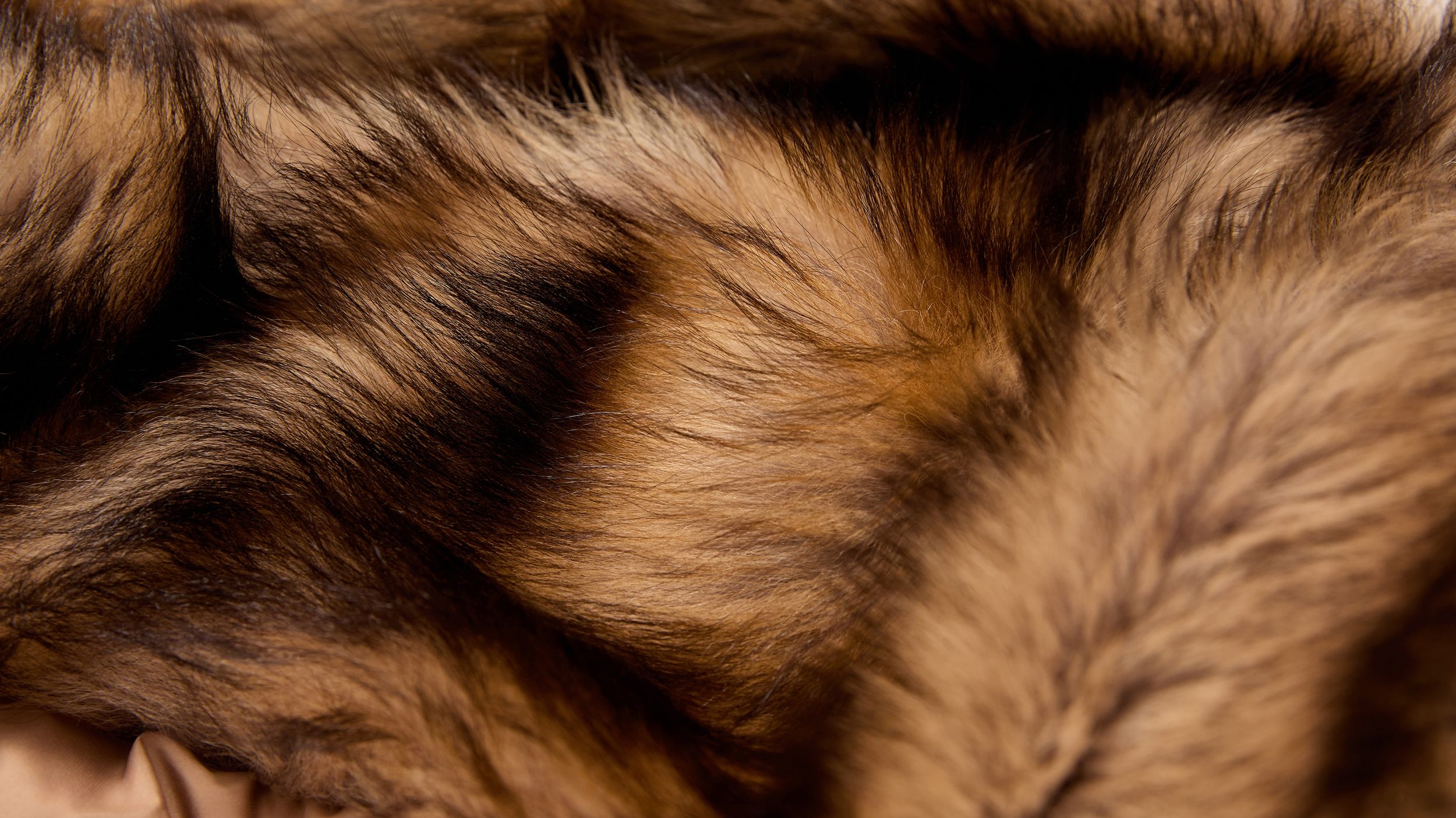 Slide 2 - Shearling Raffinato