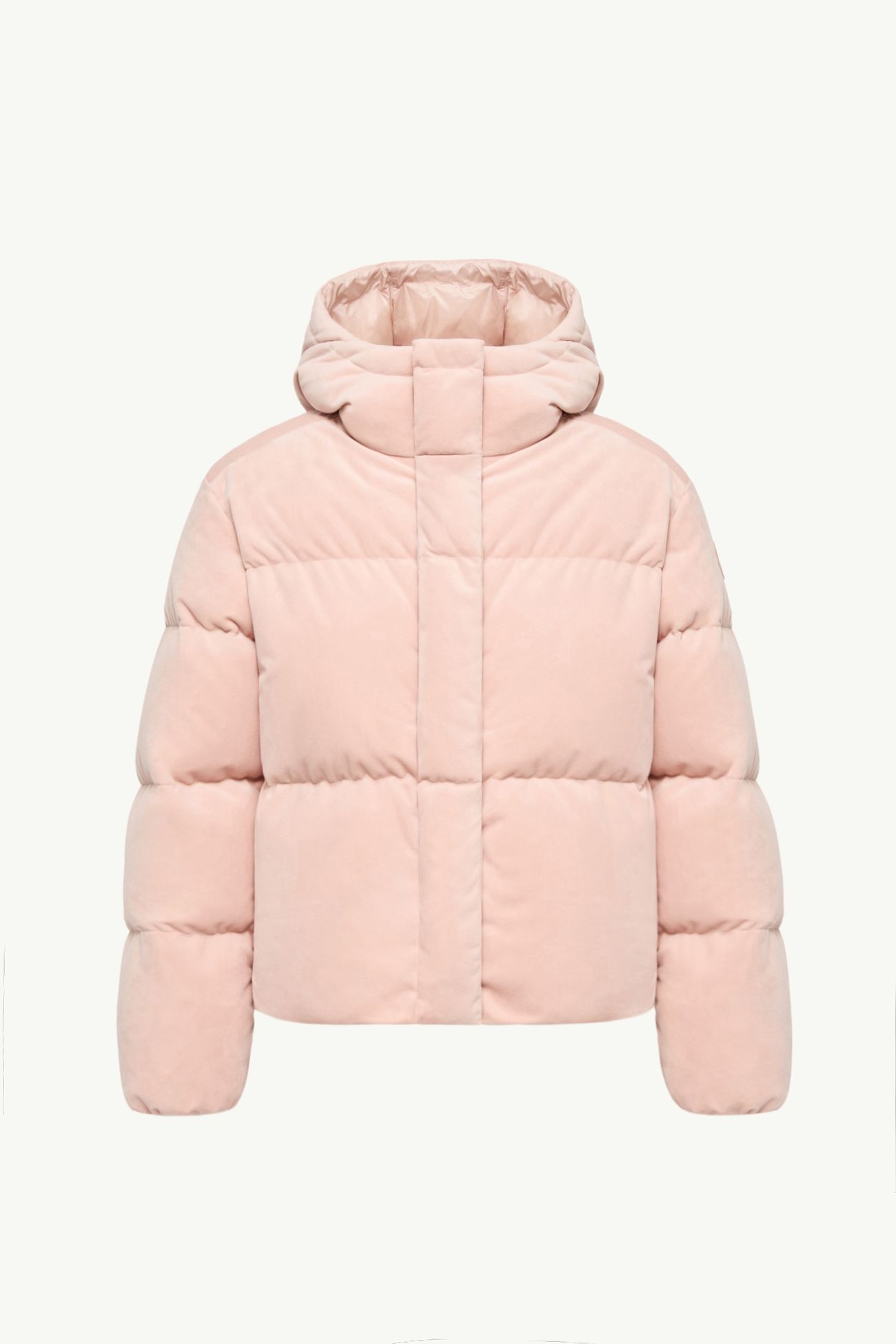 Enigme連帽繩絨短身羽絨外套 女士 粉紅色 Moncler 2