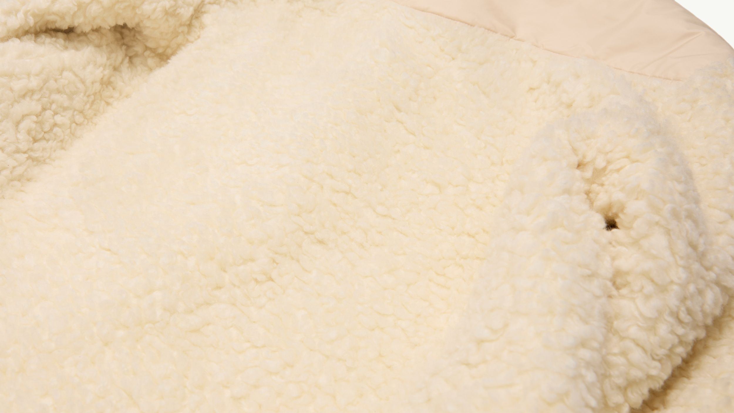Slide 1 - Plush Teddy Fleece