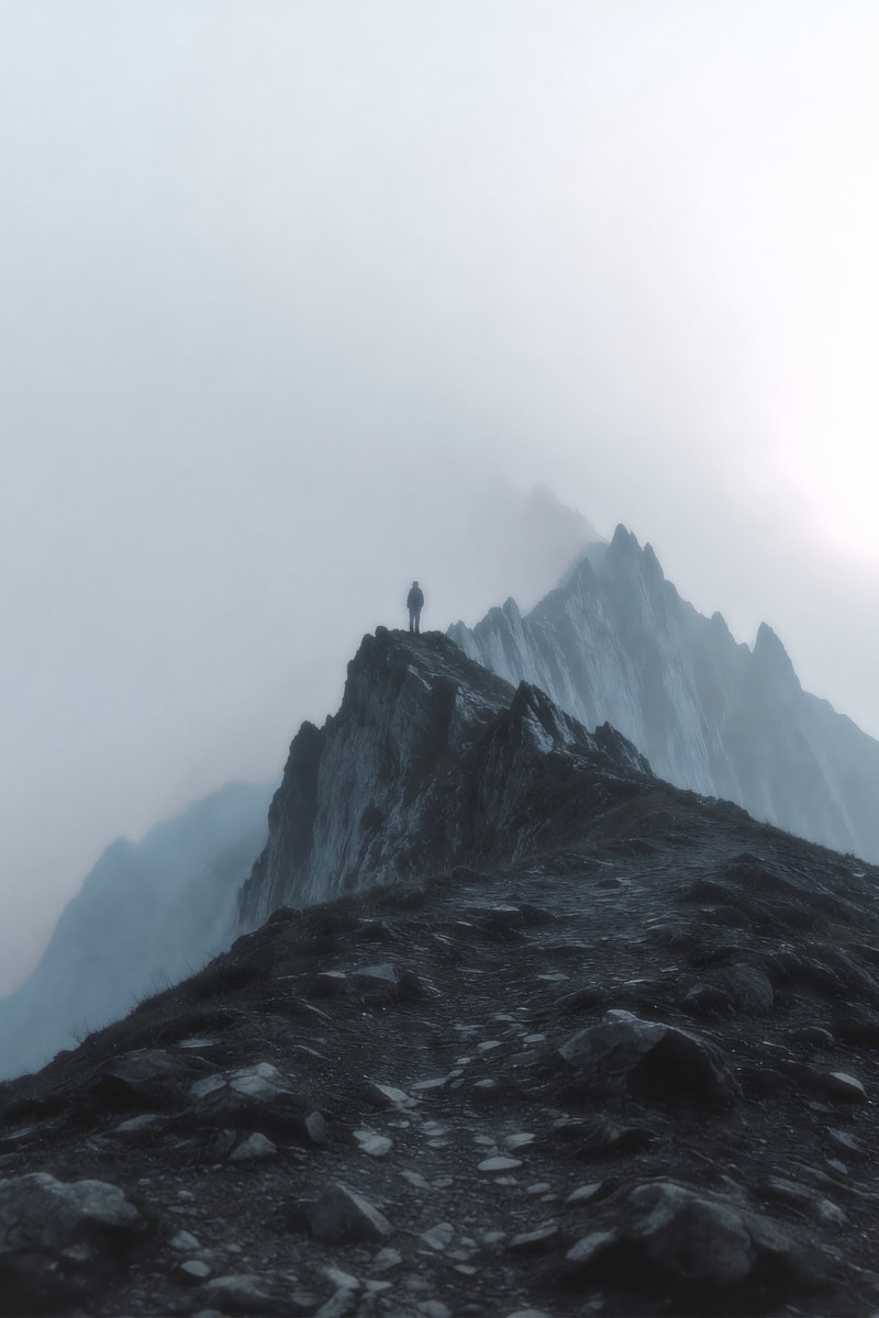 Collezione Calzature Moncler Tailgrip LP