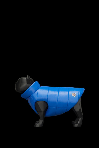 moncler jacket dog