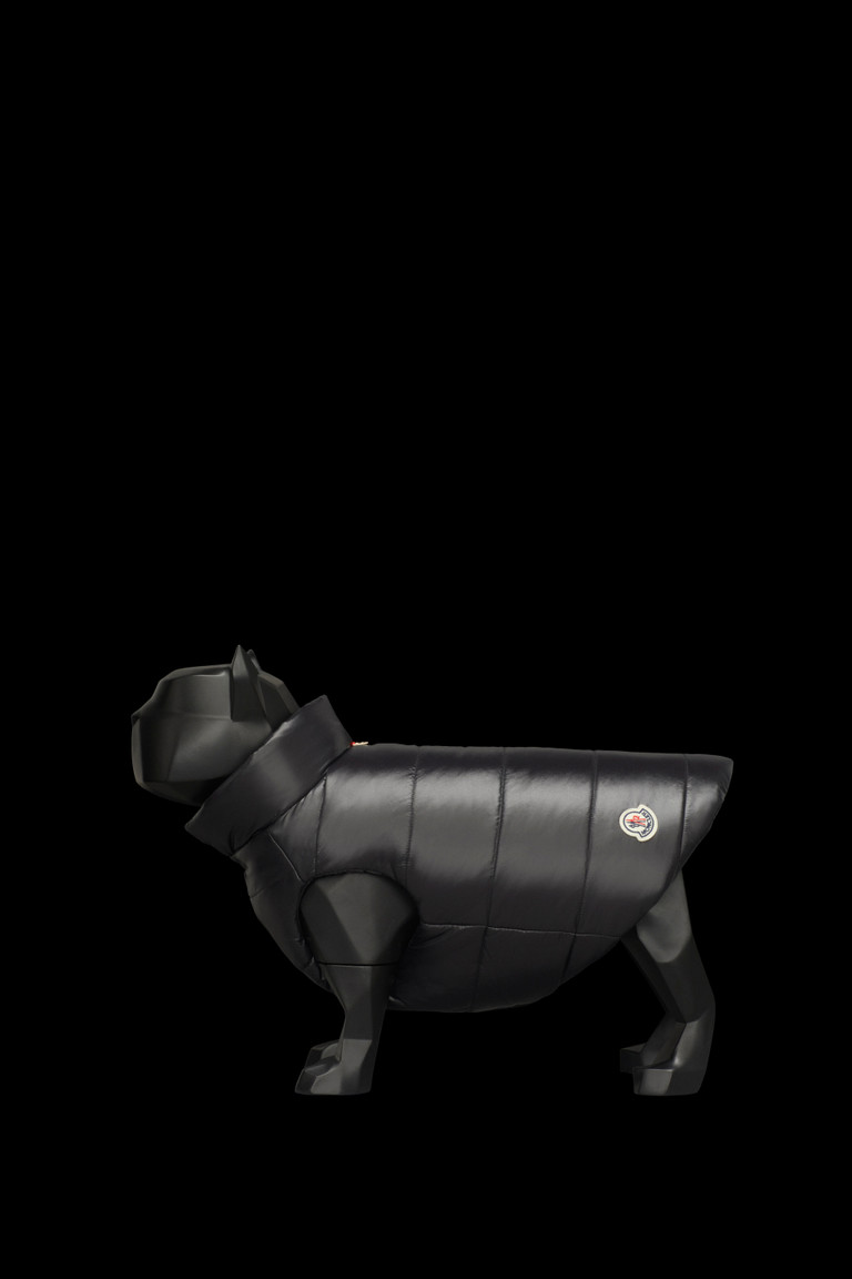 moncler cani