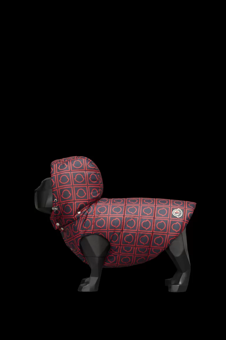 Printed Dog Vest