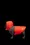 Doudoune sans manches pour chien bicolore