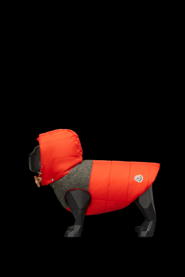 moncler cane