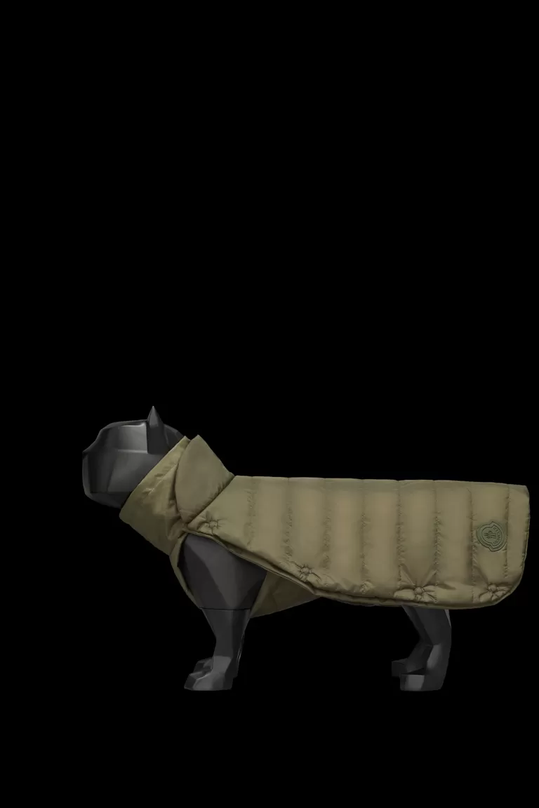 Dog Vest