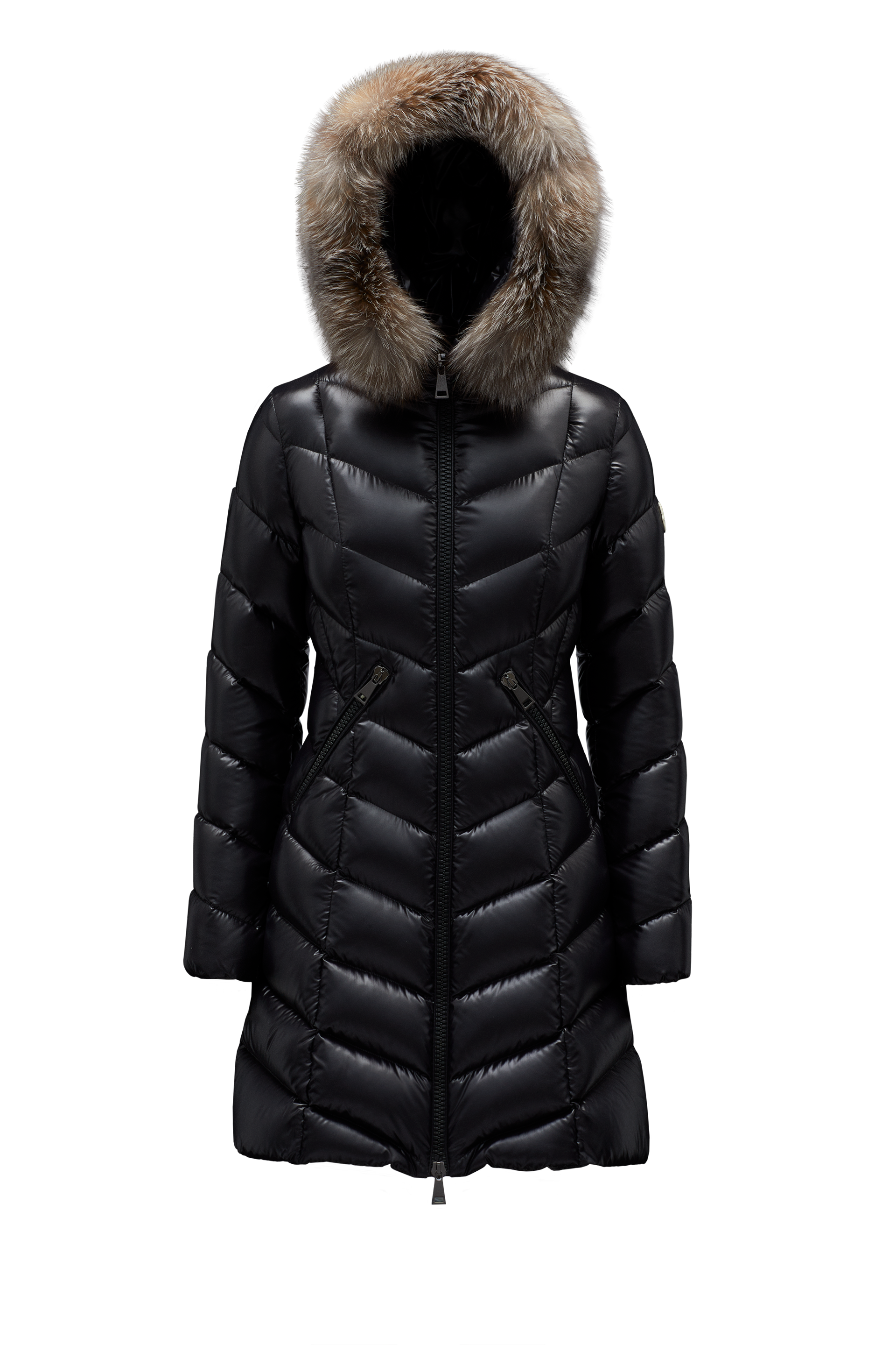 Moncler Collection Doudoune Longue Fulmarus