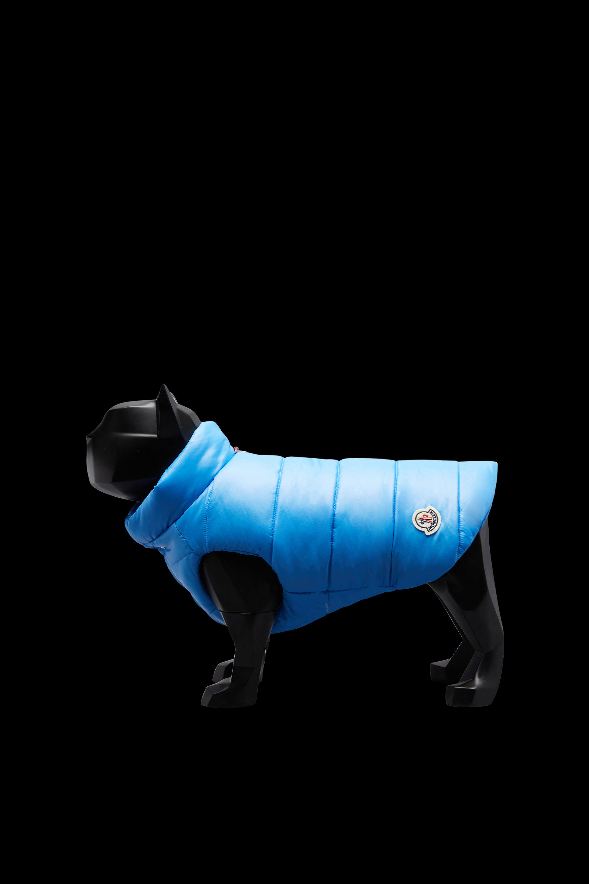 Moncler dog shop coat