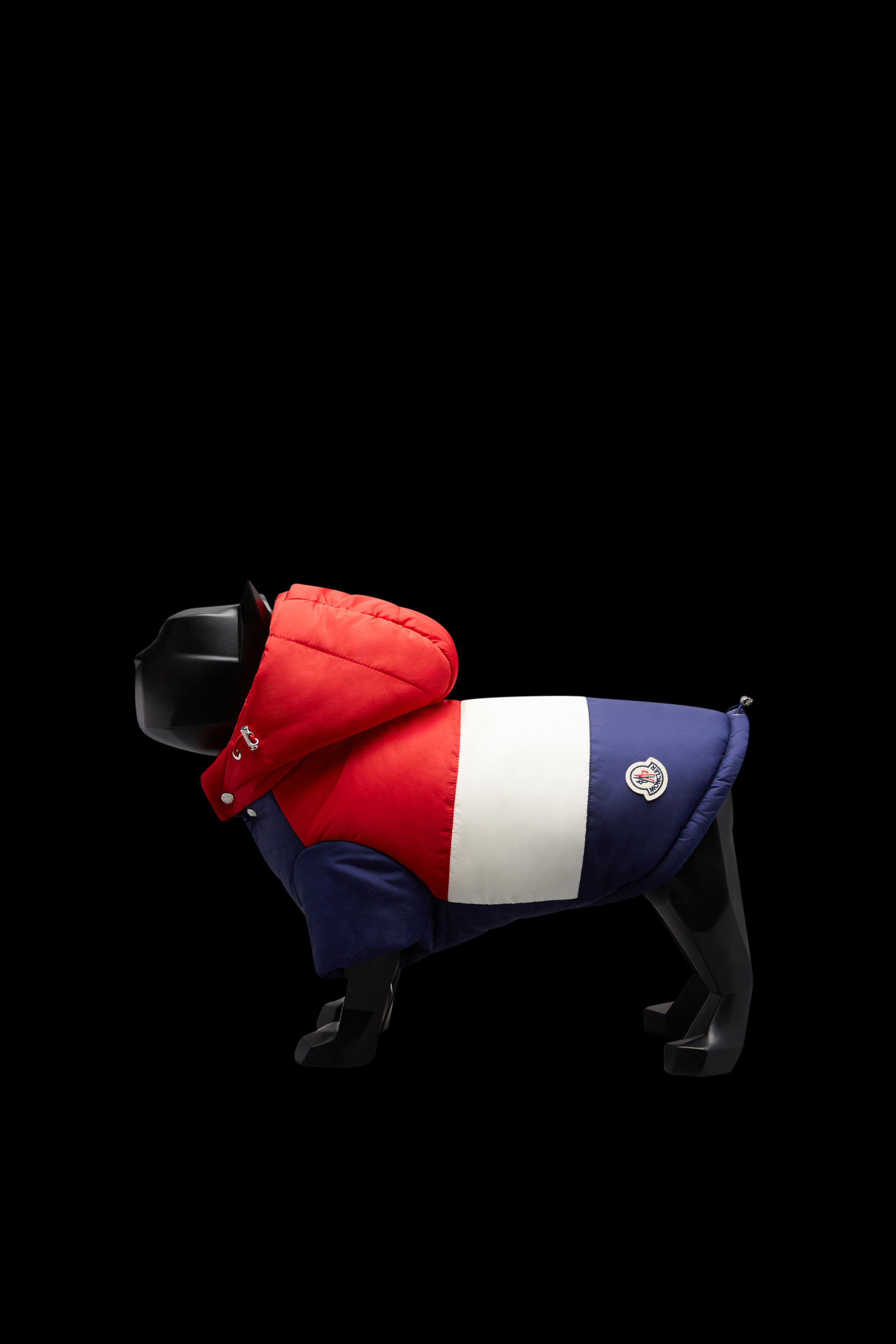 Moncler Poldo Dog Couture for Genius - Shop Genius | Moncler US