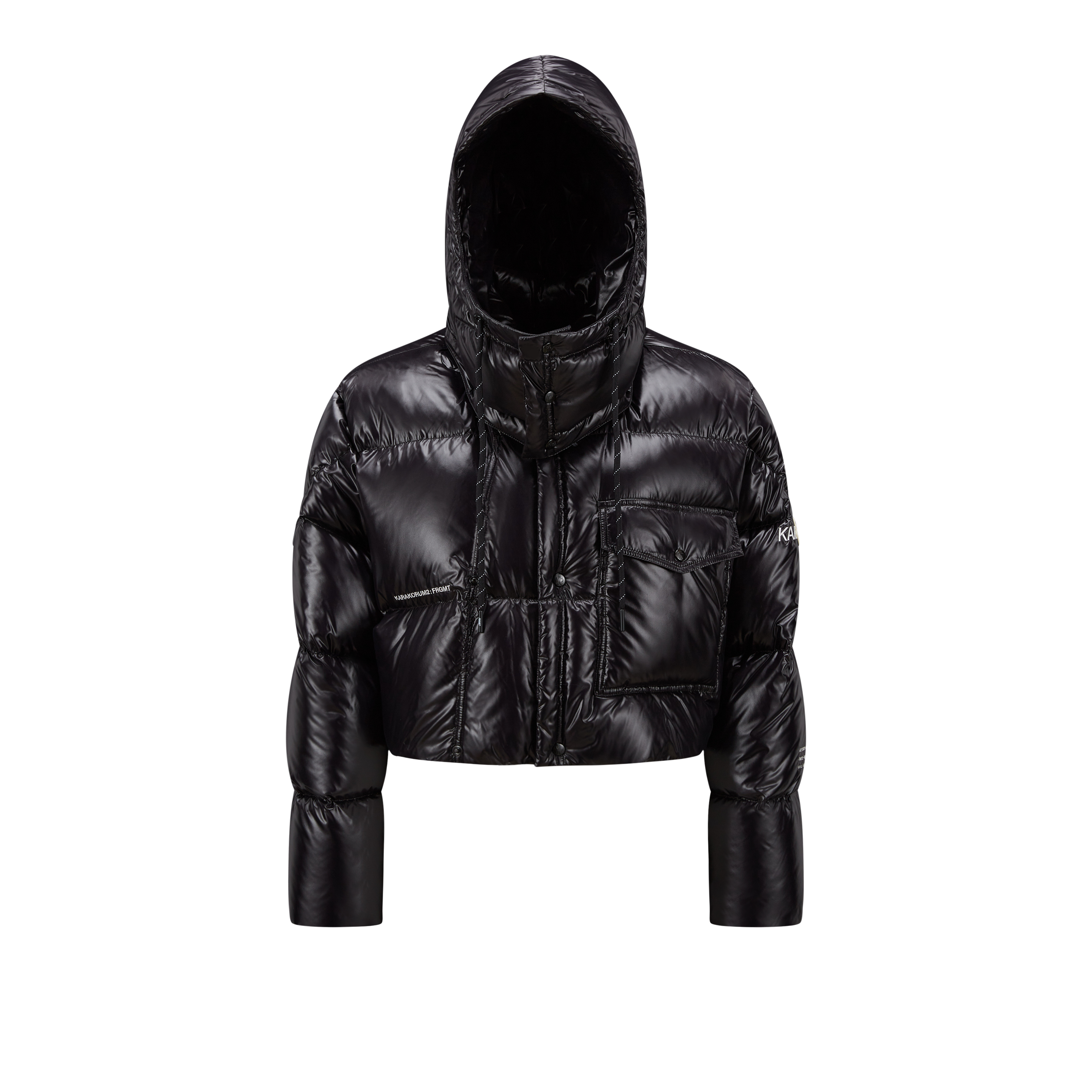 Moncler Genius Doudoune Courte Irvine In Black