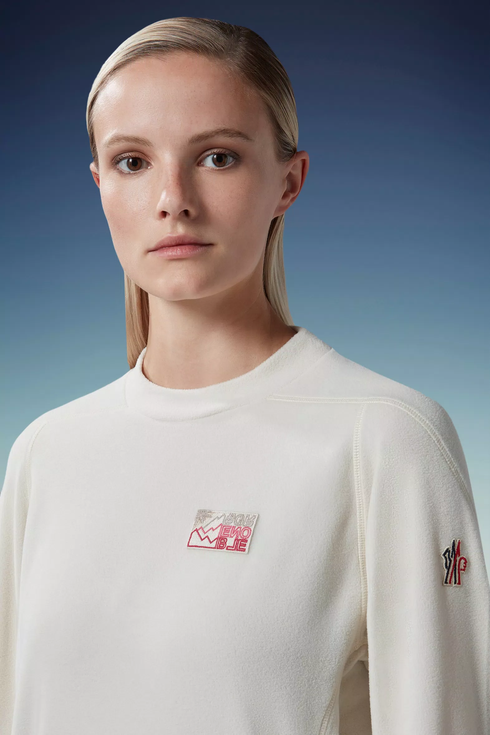 Moncler mountain sweatshirt Clearance