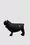 Button-Embellished Dog Gilet Gender Neutral Black Moncler