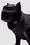 Water-Repellent Dog Gilet Gender Neutral Black Moncler 3