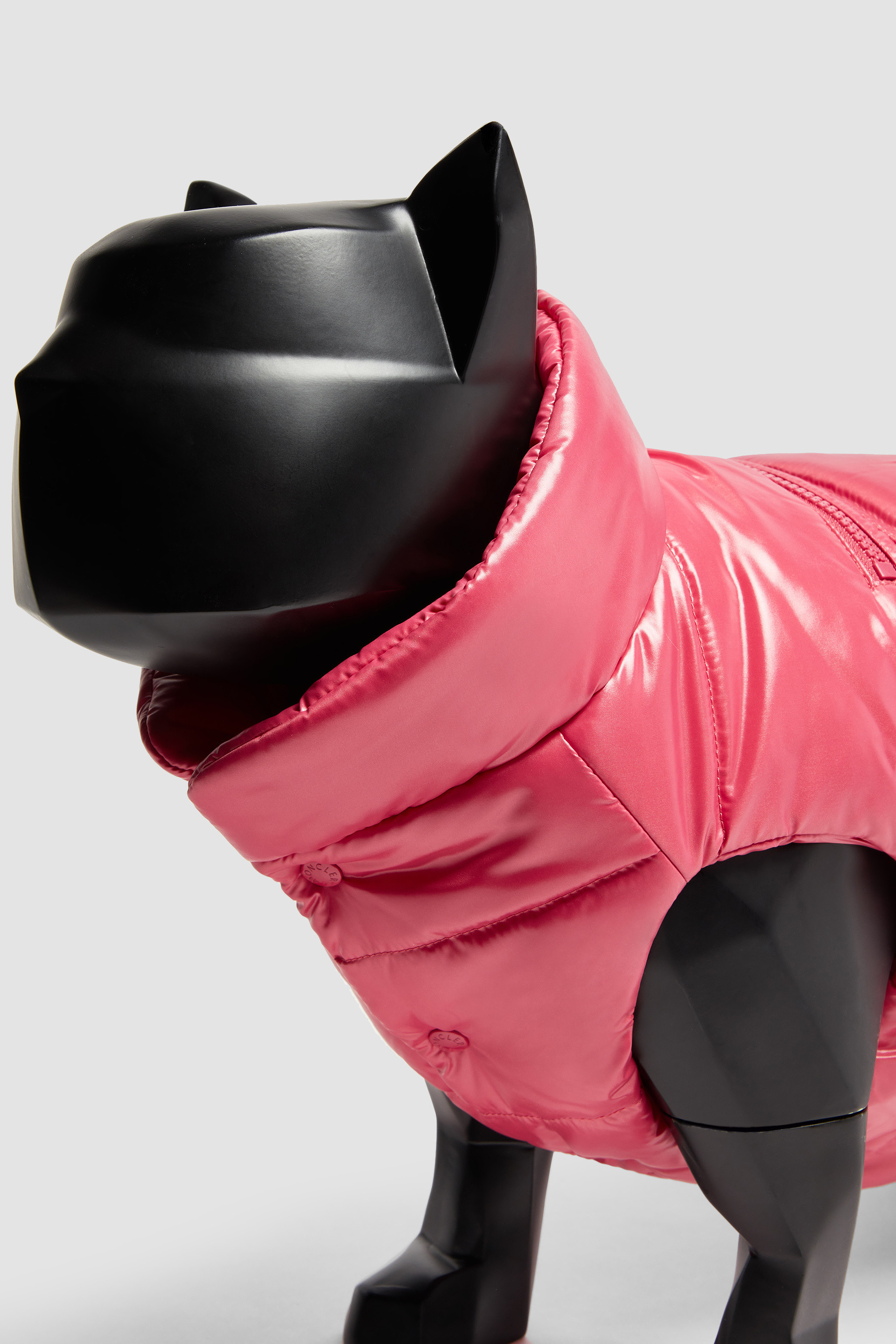 Moncler Poldo Dog Couture for Special Projects - Moncler x Poldo Dog Couture  | Moncler GB